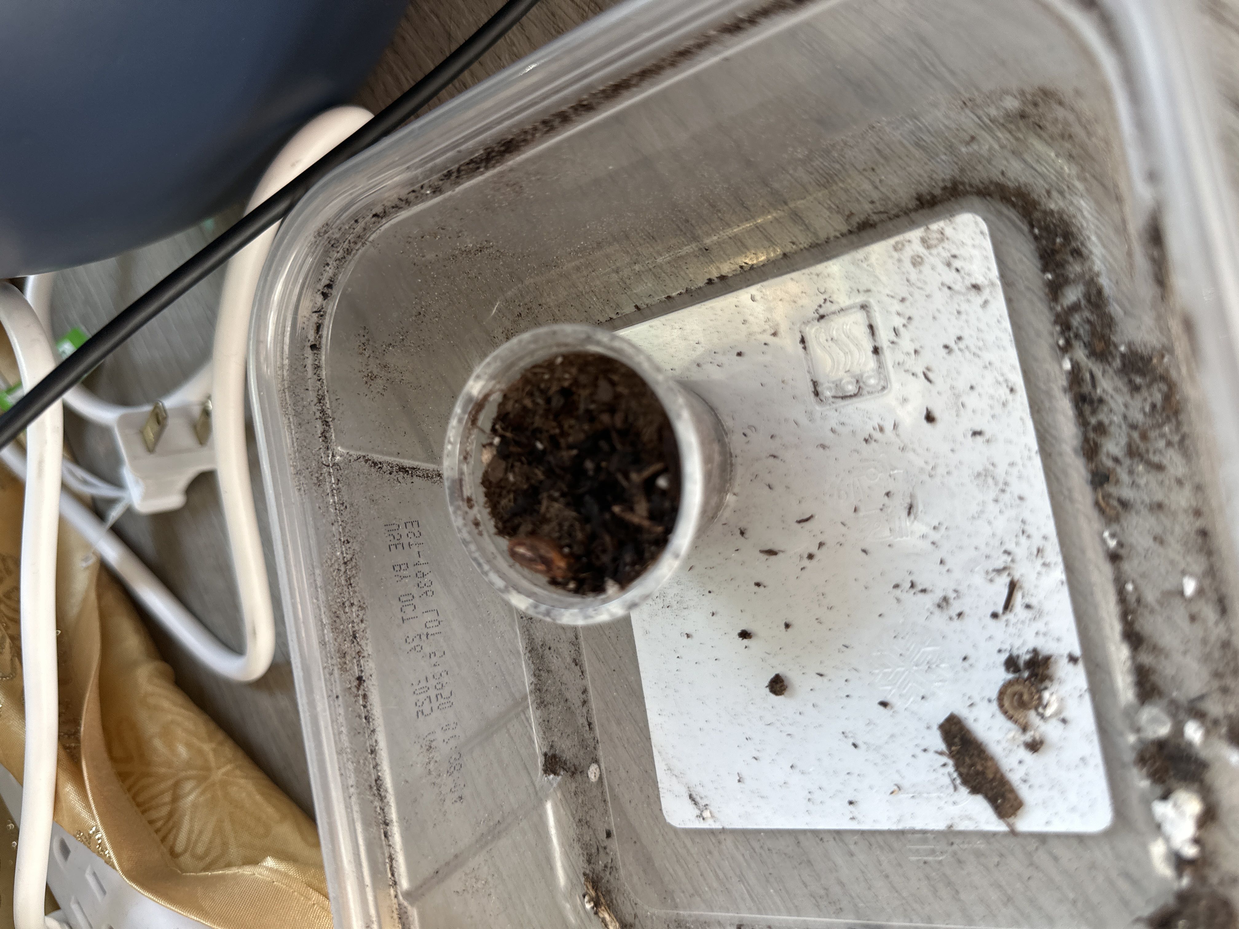 Photo from the post