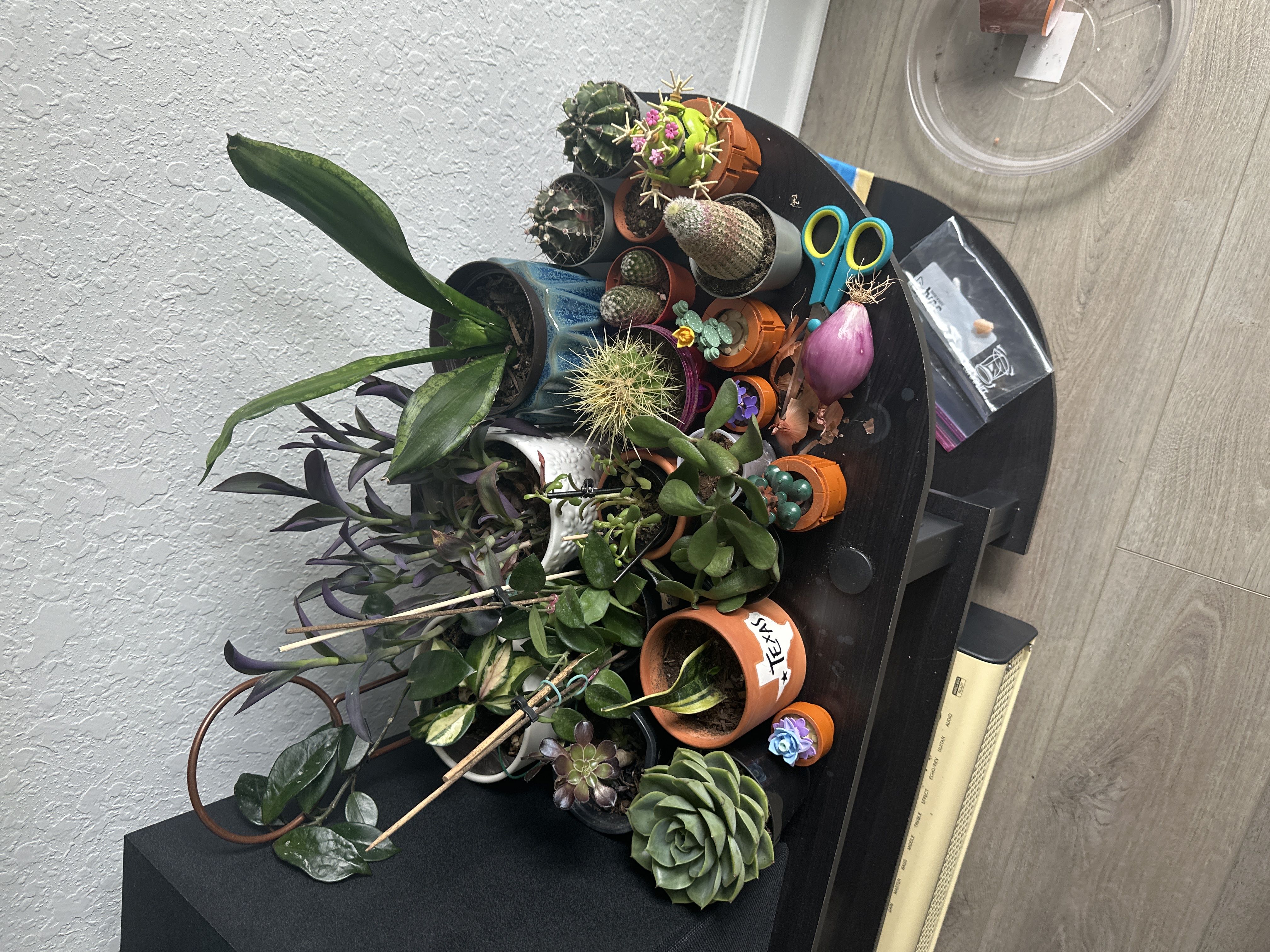 Photo from the post