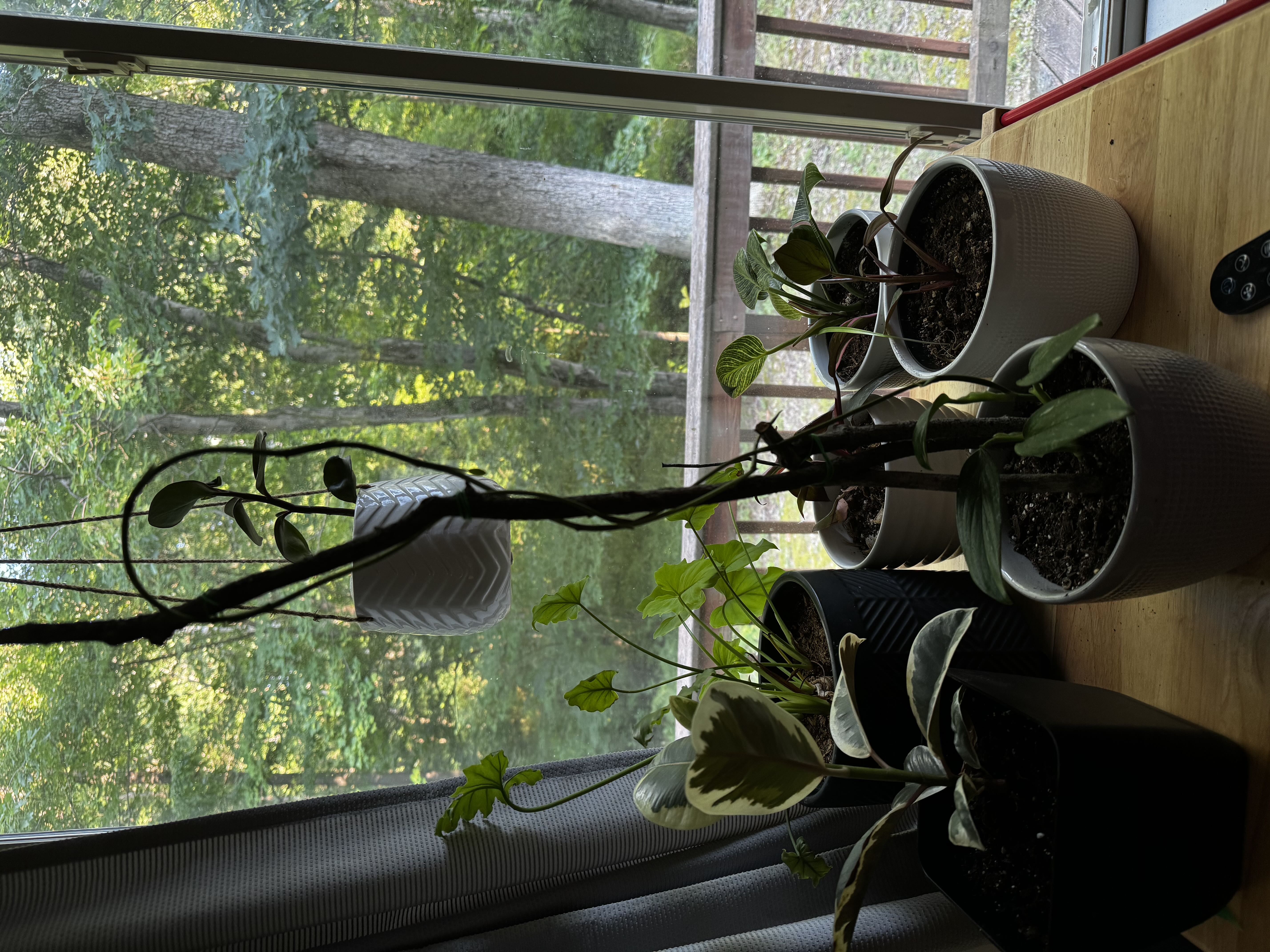 Photo from the post