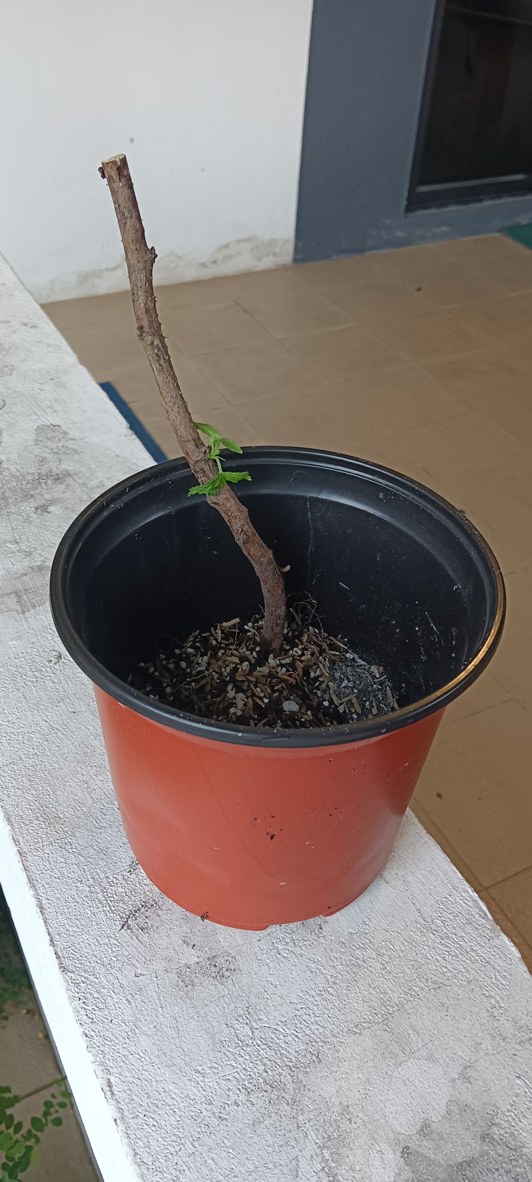 Photo from the post