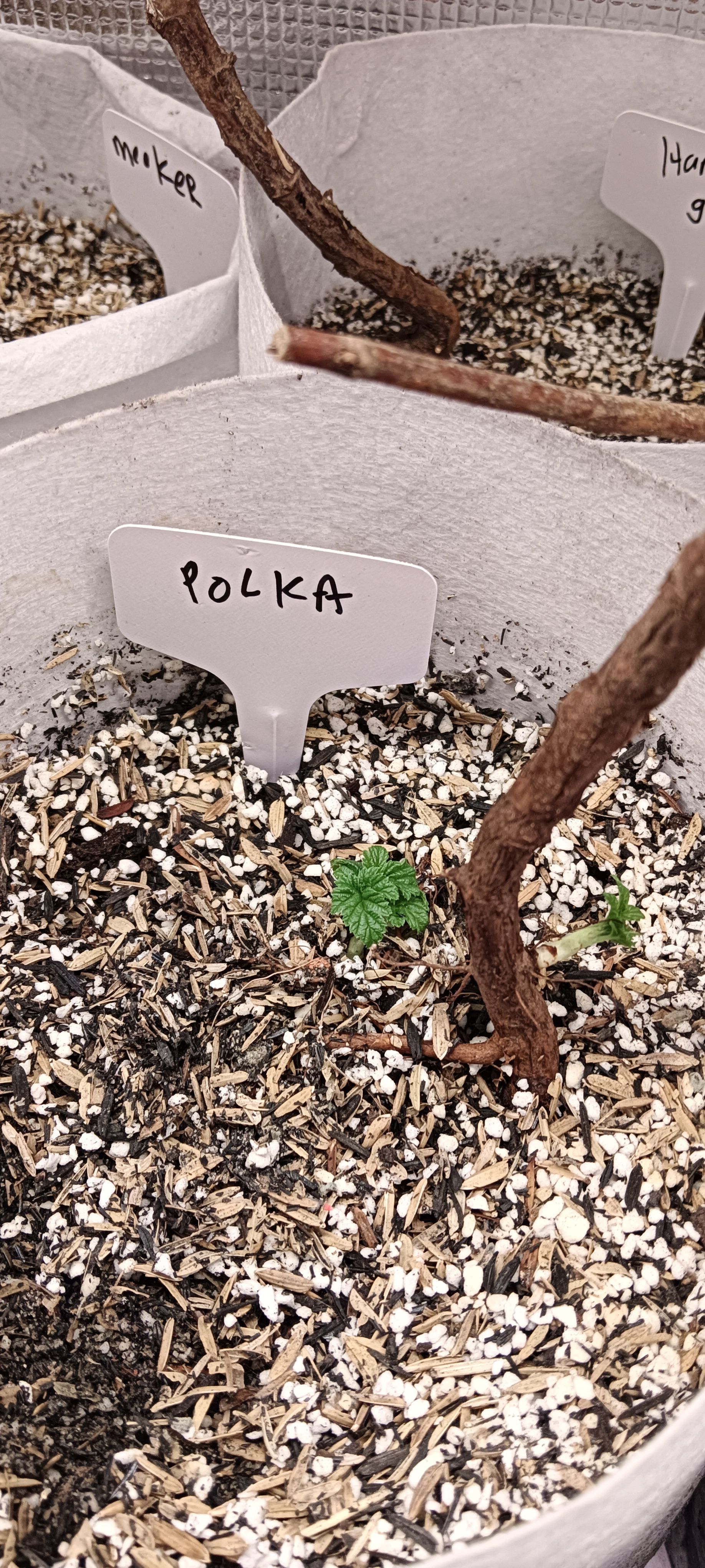 Photo from the post