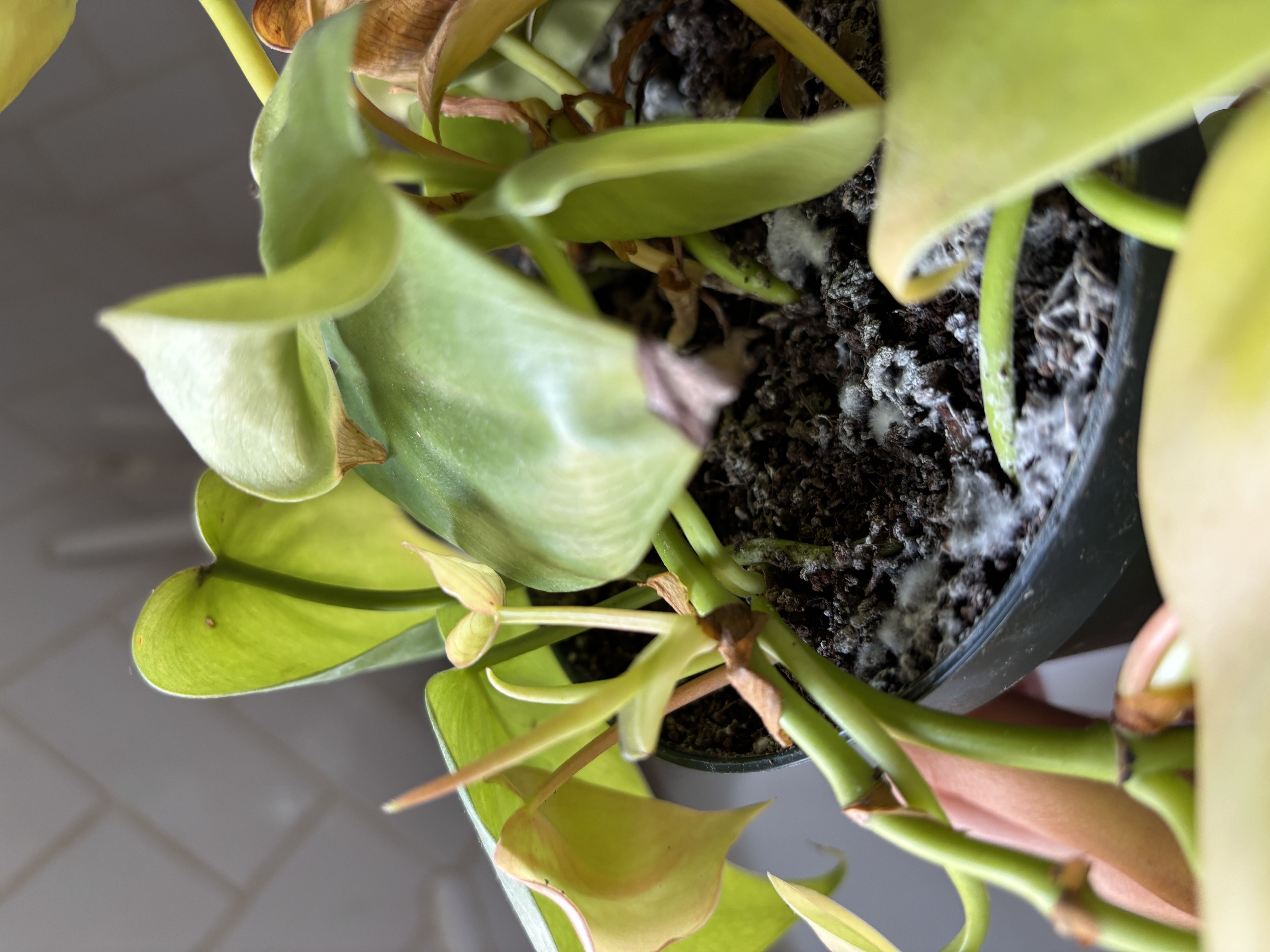 Photo from the post