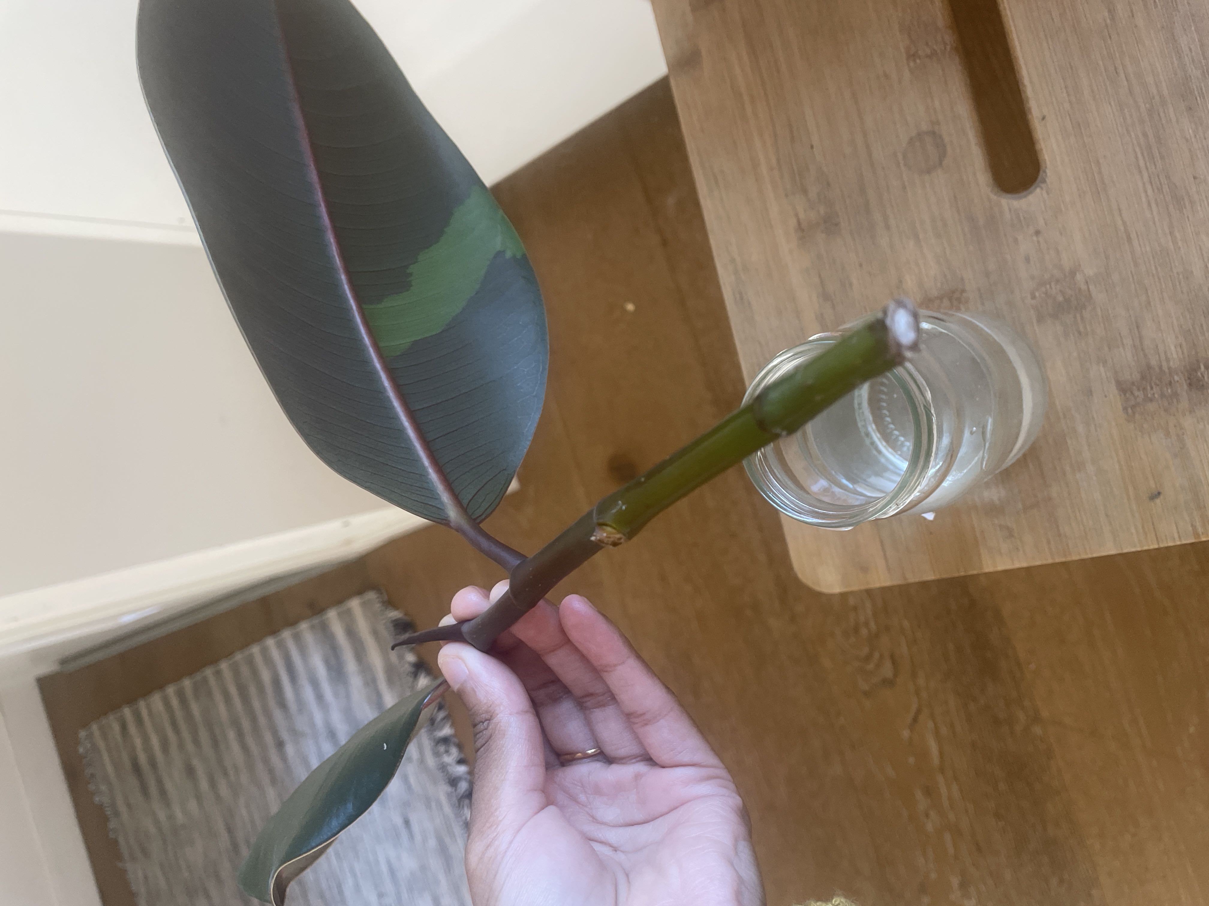 Photo from the post