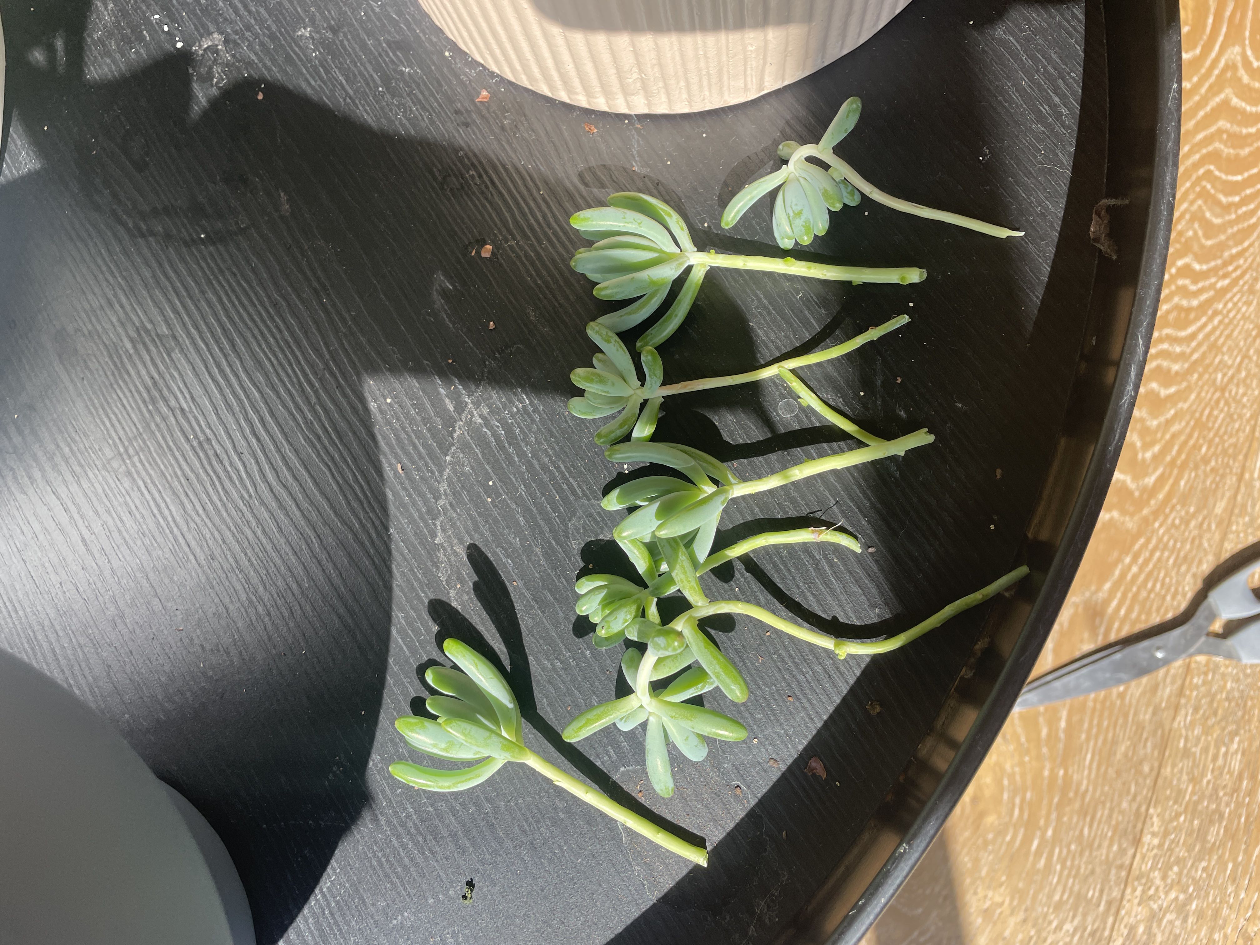 Photo from the post