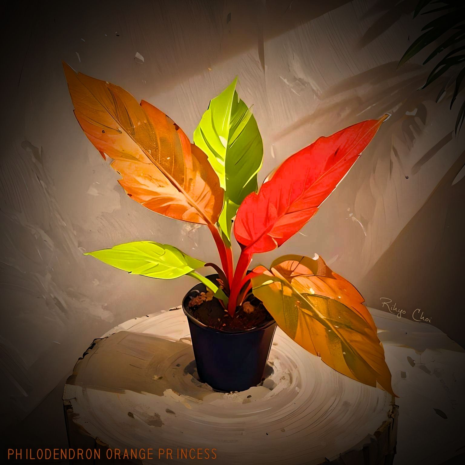 Photo of the plant species Philodendron 'Orange Princess' by @JenobiBLU named Lady Marmaláde on Greg, the plant care app