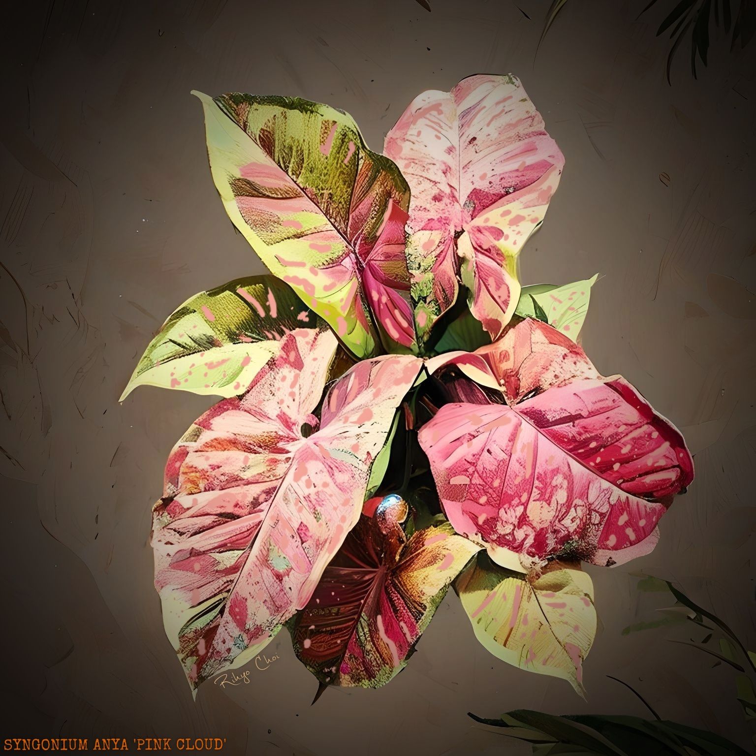 Plant care for Sygonium Orm Nak on Greg, the plant care app