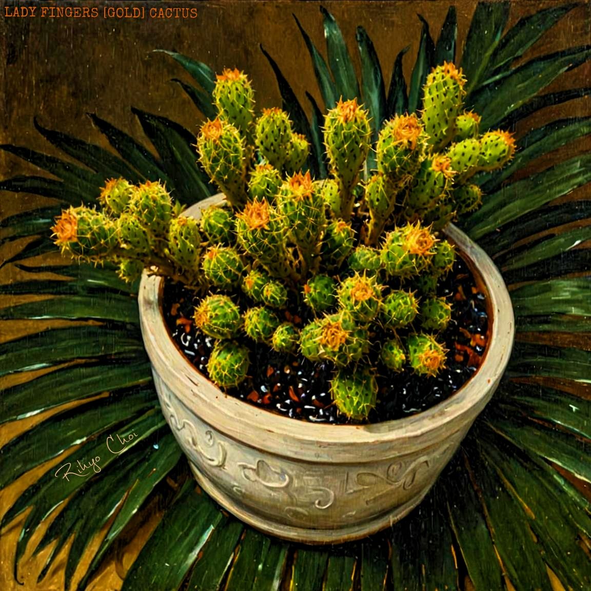 Photo of the plant species Lady Finger Cactus 'Goldilocks' by @JenobiBLU named Mendelssohn on Greg, the plant care app