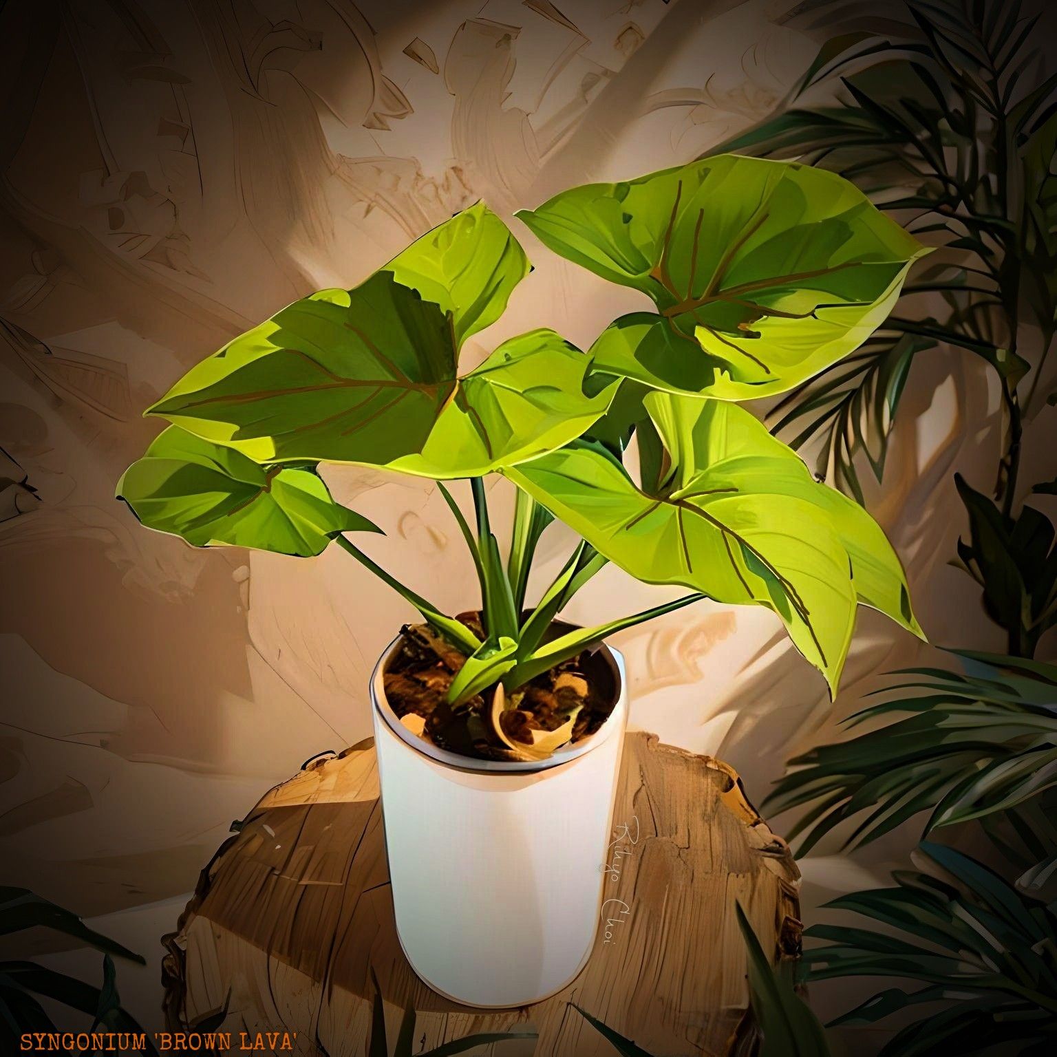 Photo of the plant species Syngonium podophyllum 'Brown Lava' by @JenobiBLU named Cognac on Greg, the plant care app
