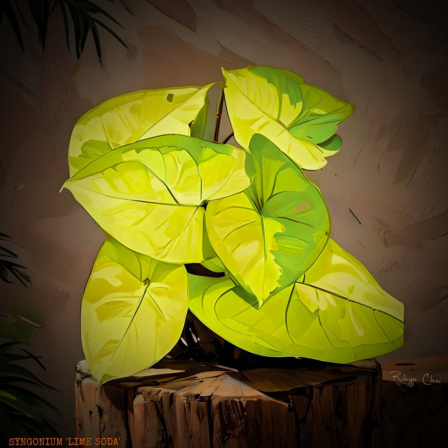 Photo of the plant species Syngonium podophyllum 'Lime Soda' by @JenobiBLU named Lymonè on Greg, the plant care app