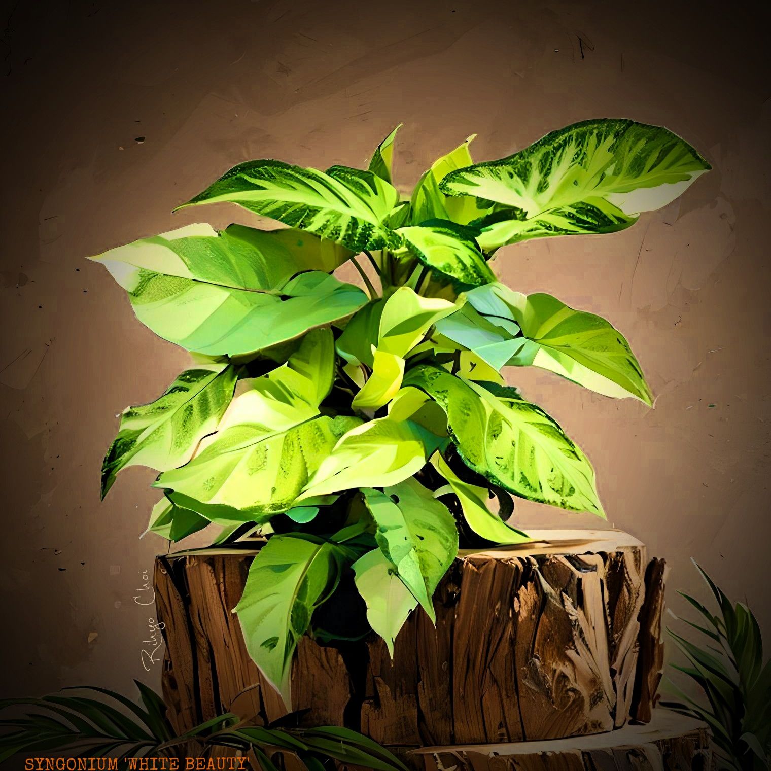 Photo of the plant species White Ribbon Arrowhead Plant by @JenobiBLU named Whibea on Greg, the plant care app