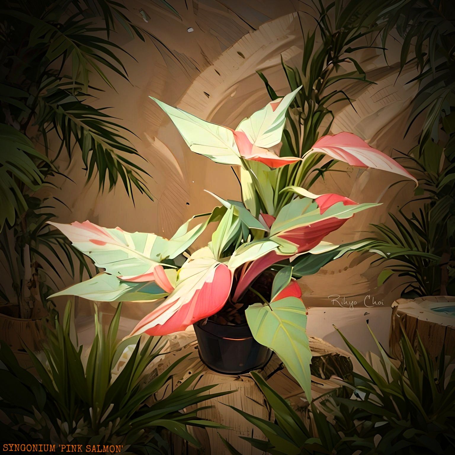 Photo of the plant species Syngonium 'Pink Salmon' by @JenobiBLU named Salmo on Greg, the plant care app