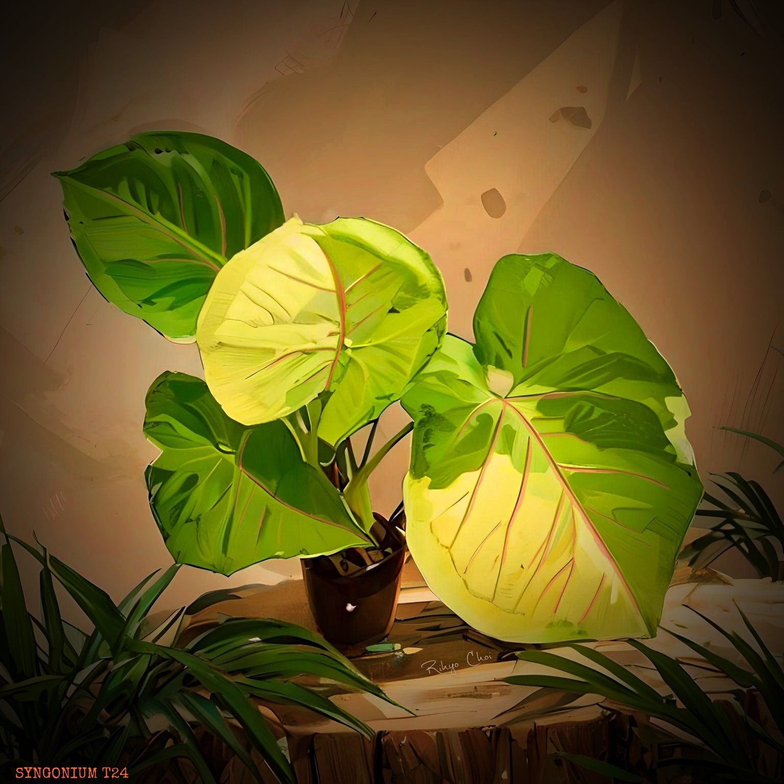 Photo of the plant species Syngonium Dwarf Variegata by @JenobiBLU named Tuefur on Greg, the plant care app