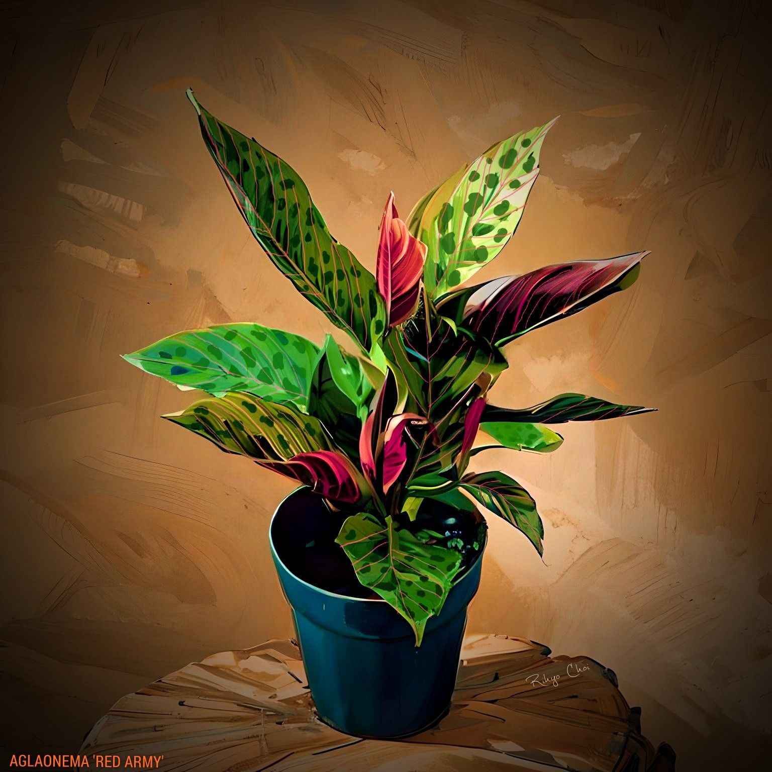 Photo of the plant species Aglaonema Red Army by @JenobiBLU named Sarge on Greg, the plant care app