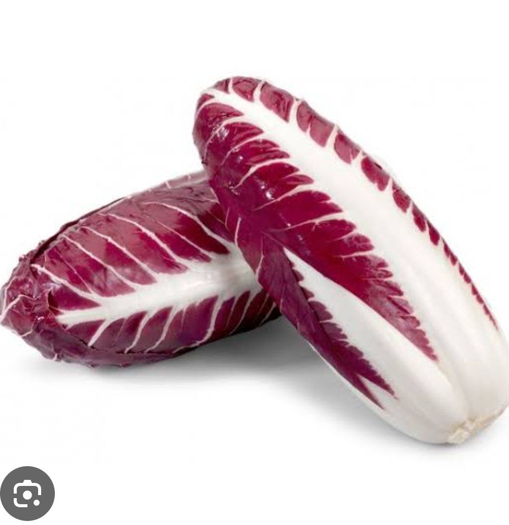 Photo of the plant species Radicchio 'Italiko Rosso' by @AbleBrowallia named Figyonce on Greg, the plant care app