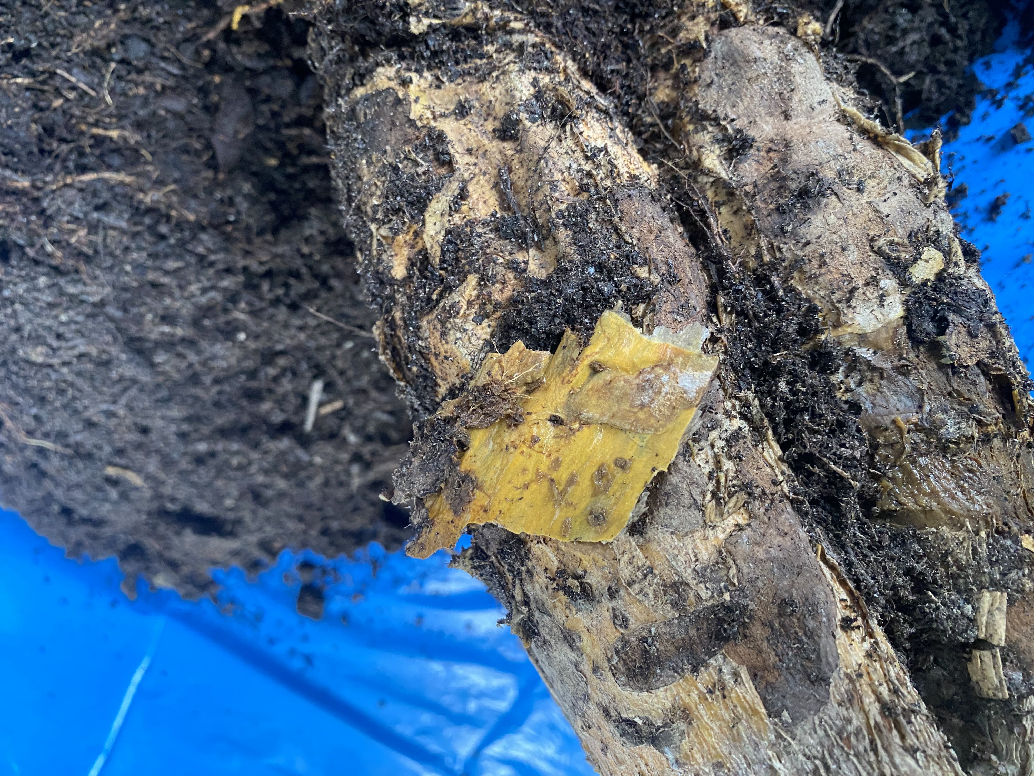 Photo from the post