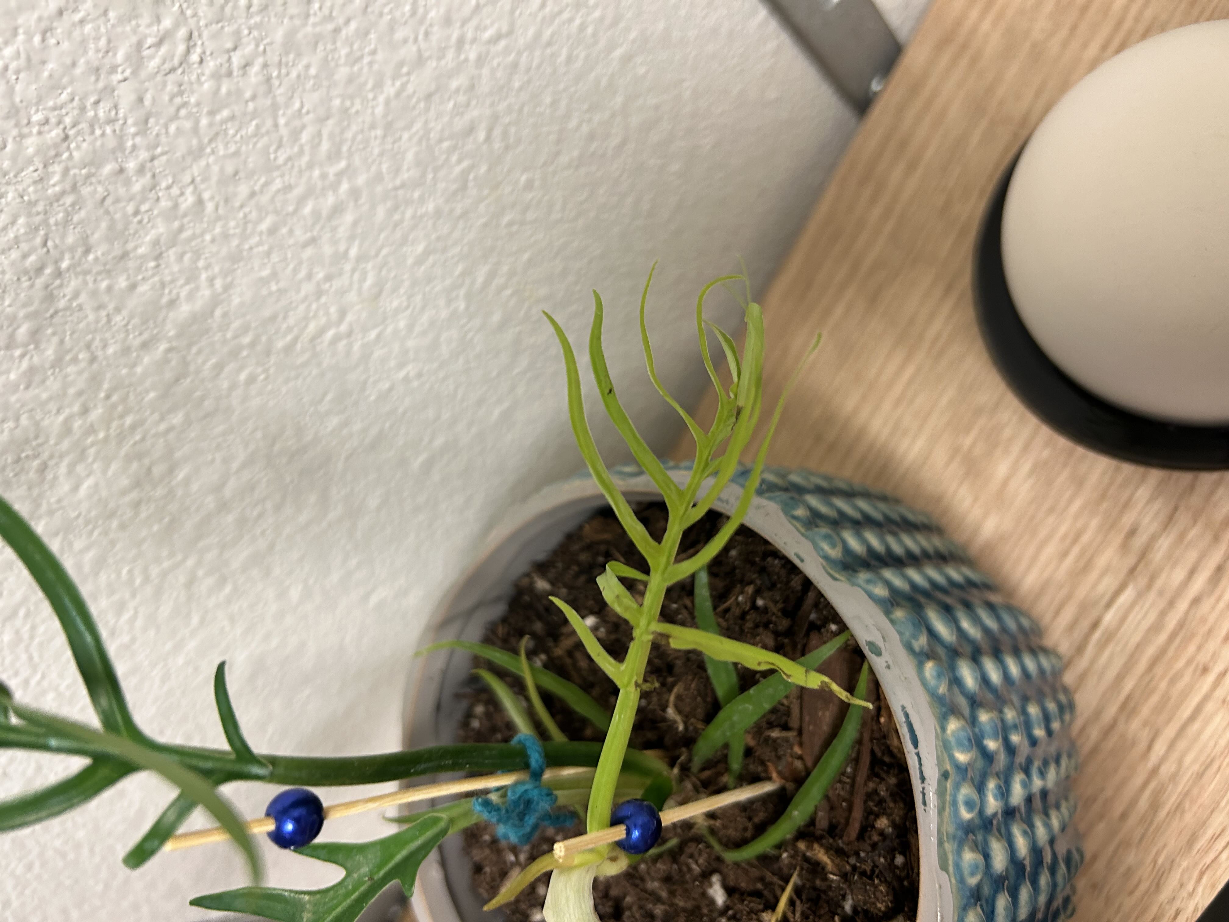 Photo from the post