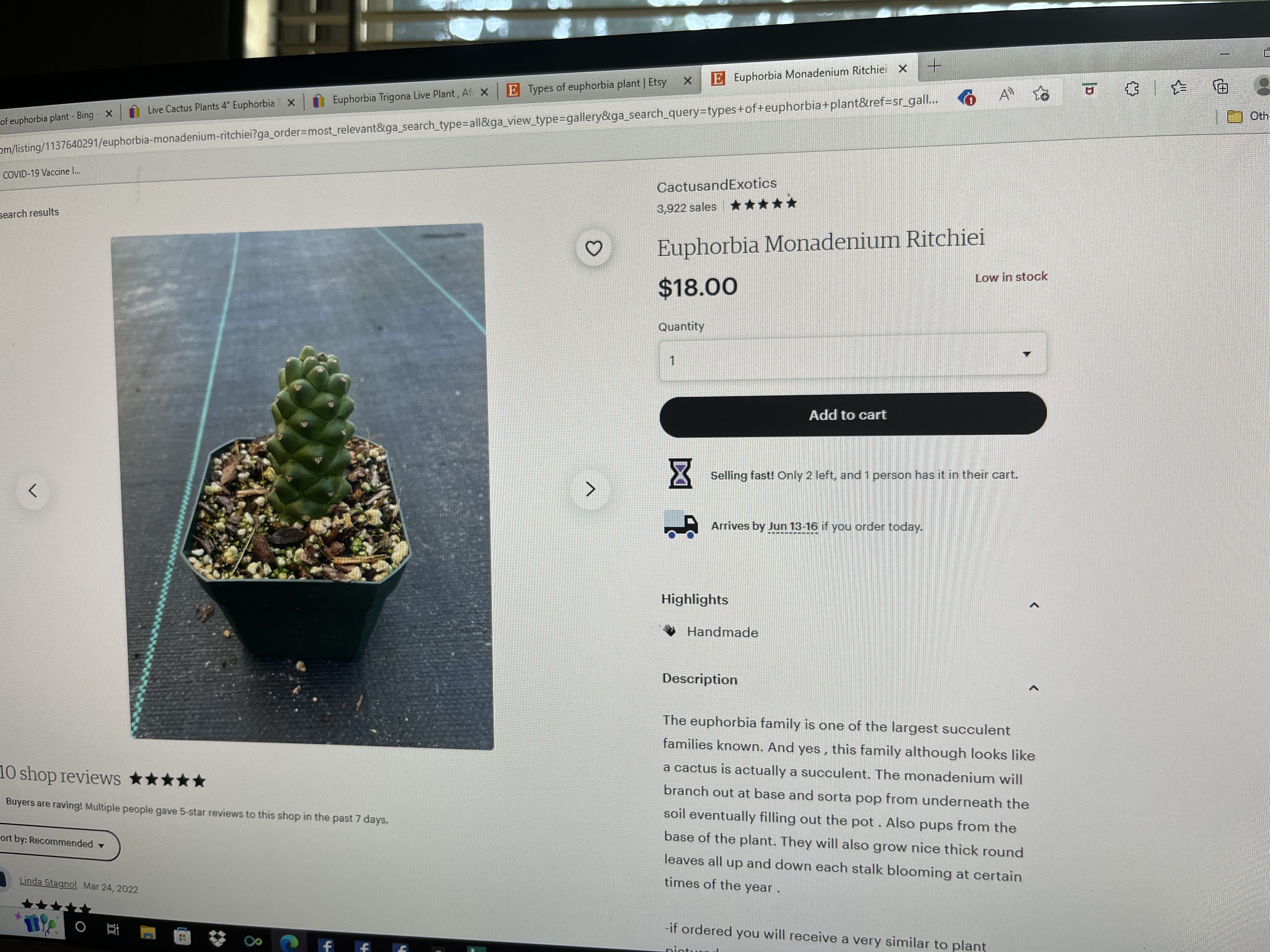 Photo from the post