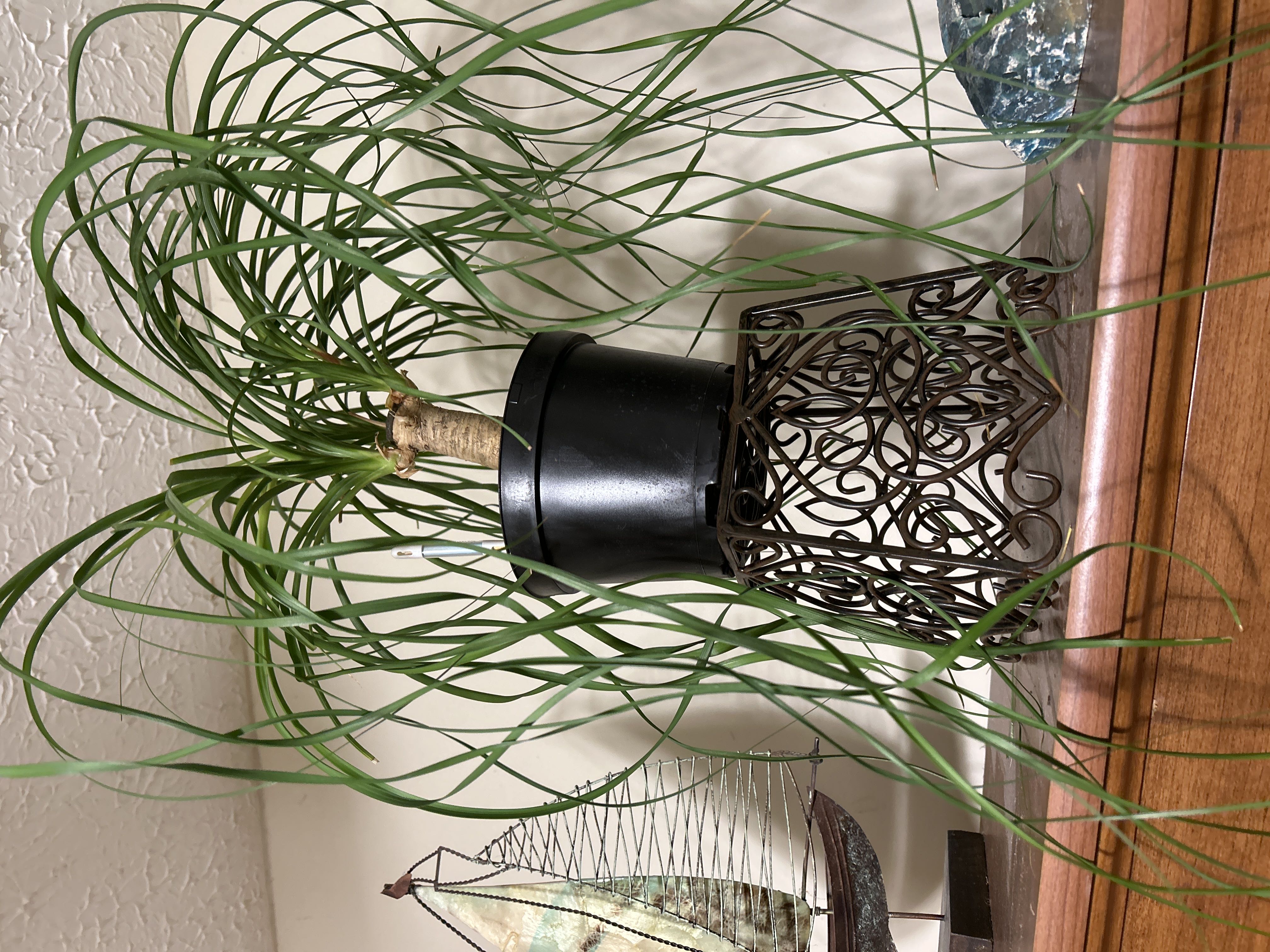 Photo from the post