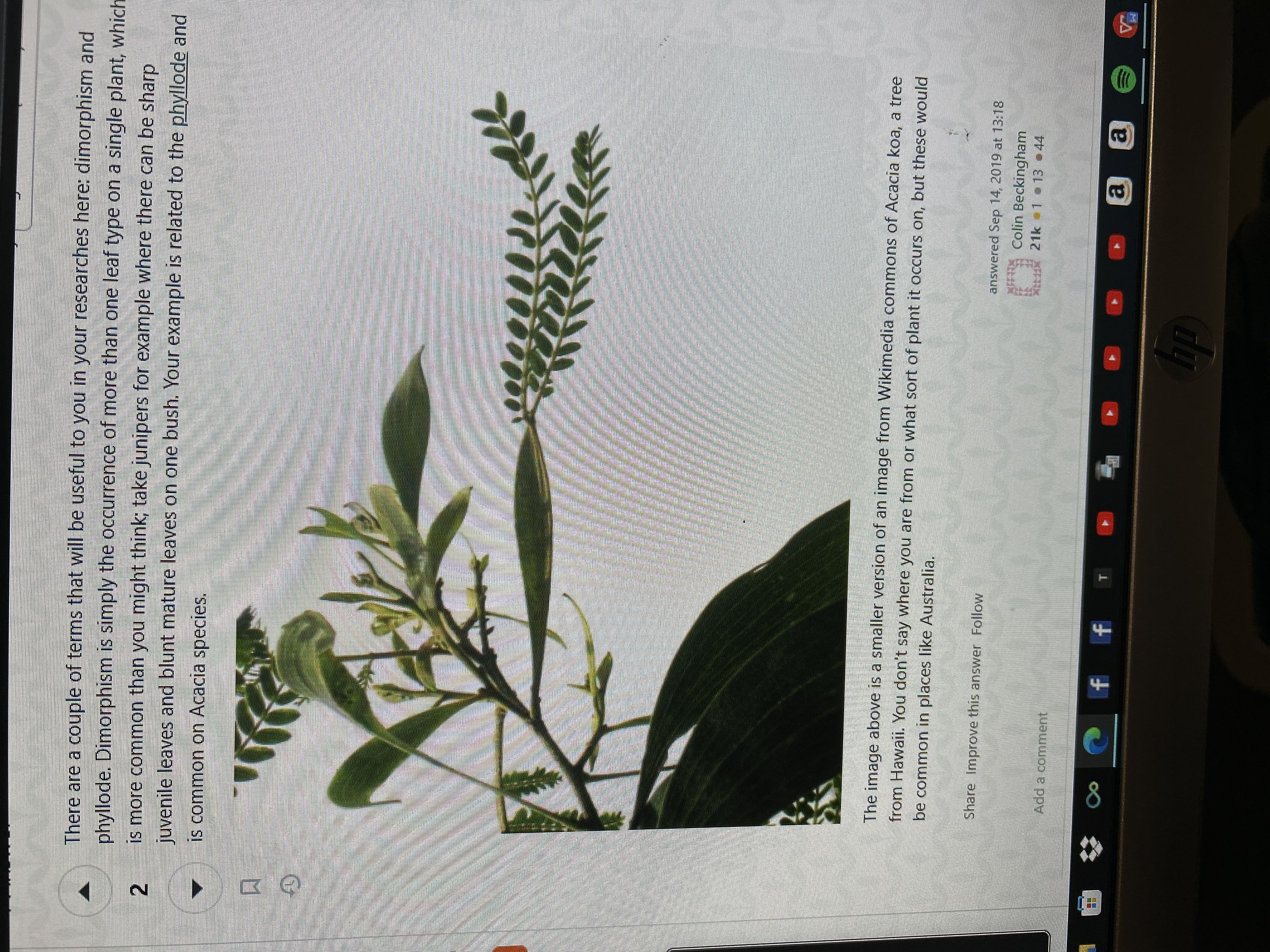 Photo from the post