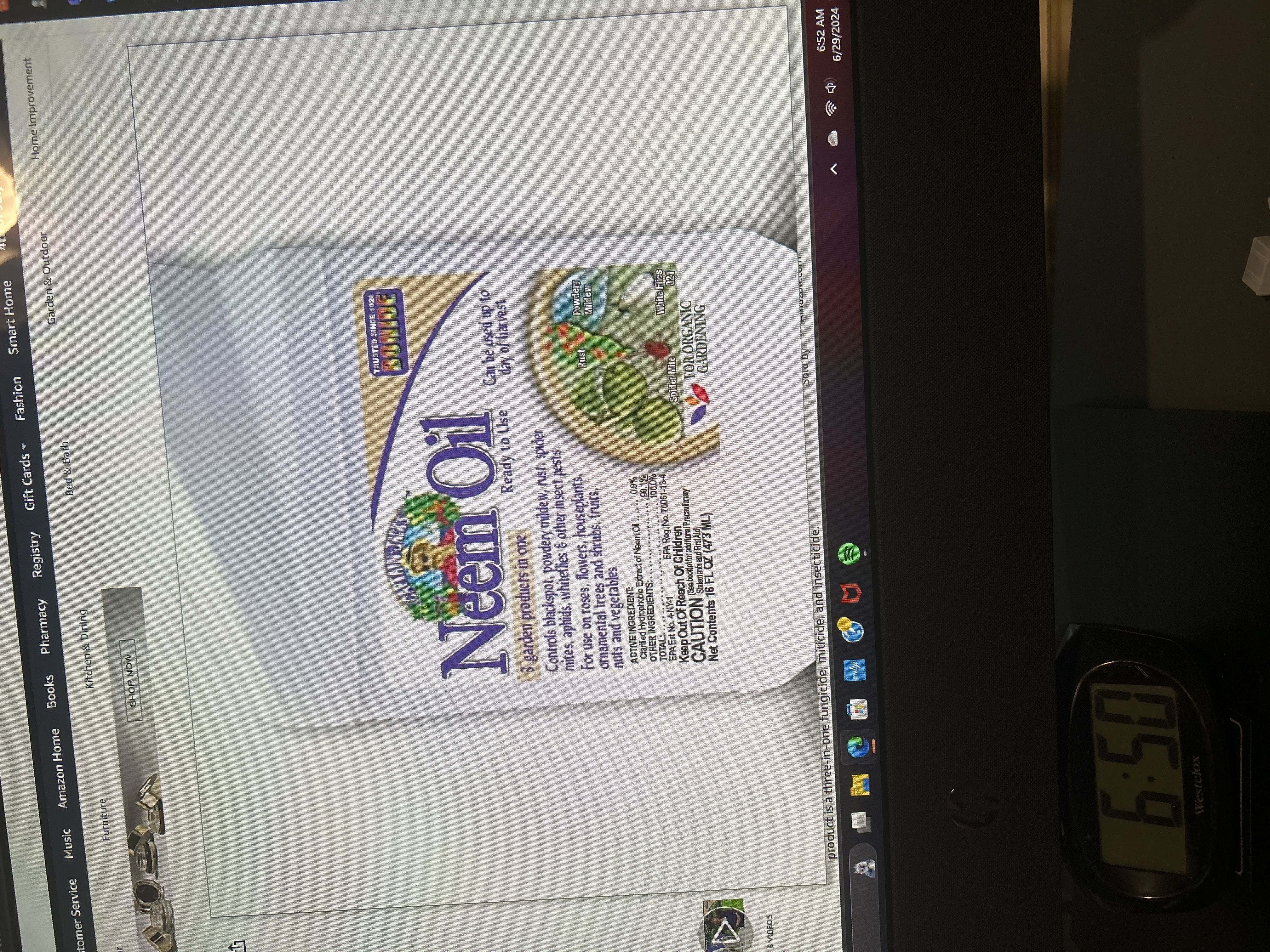 Photo from the post