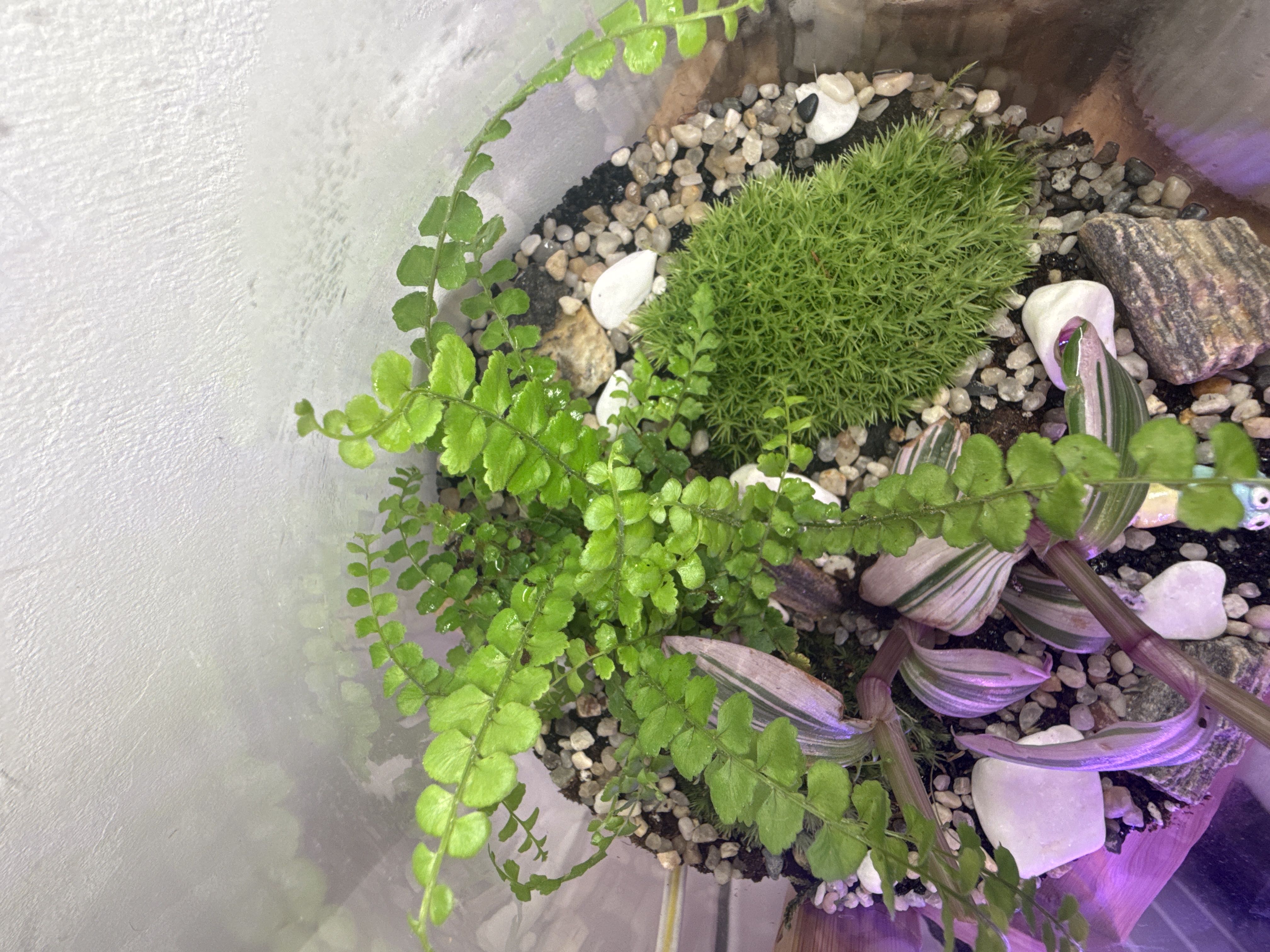 Photo from the post