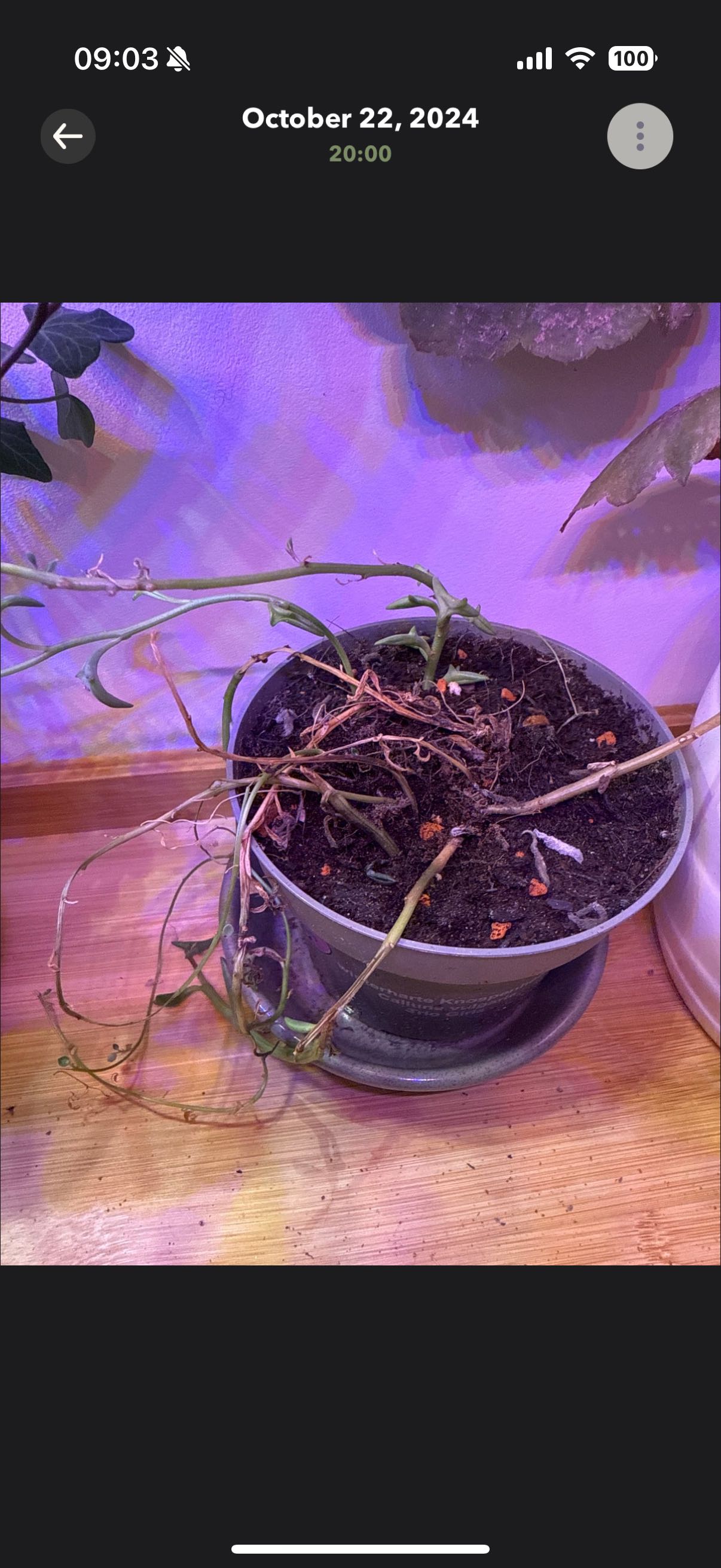 Photo from the post