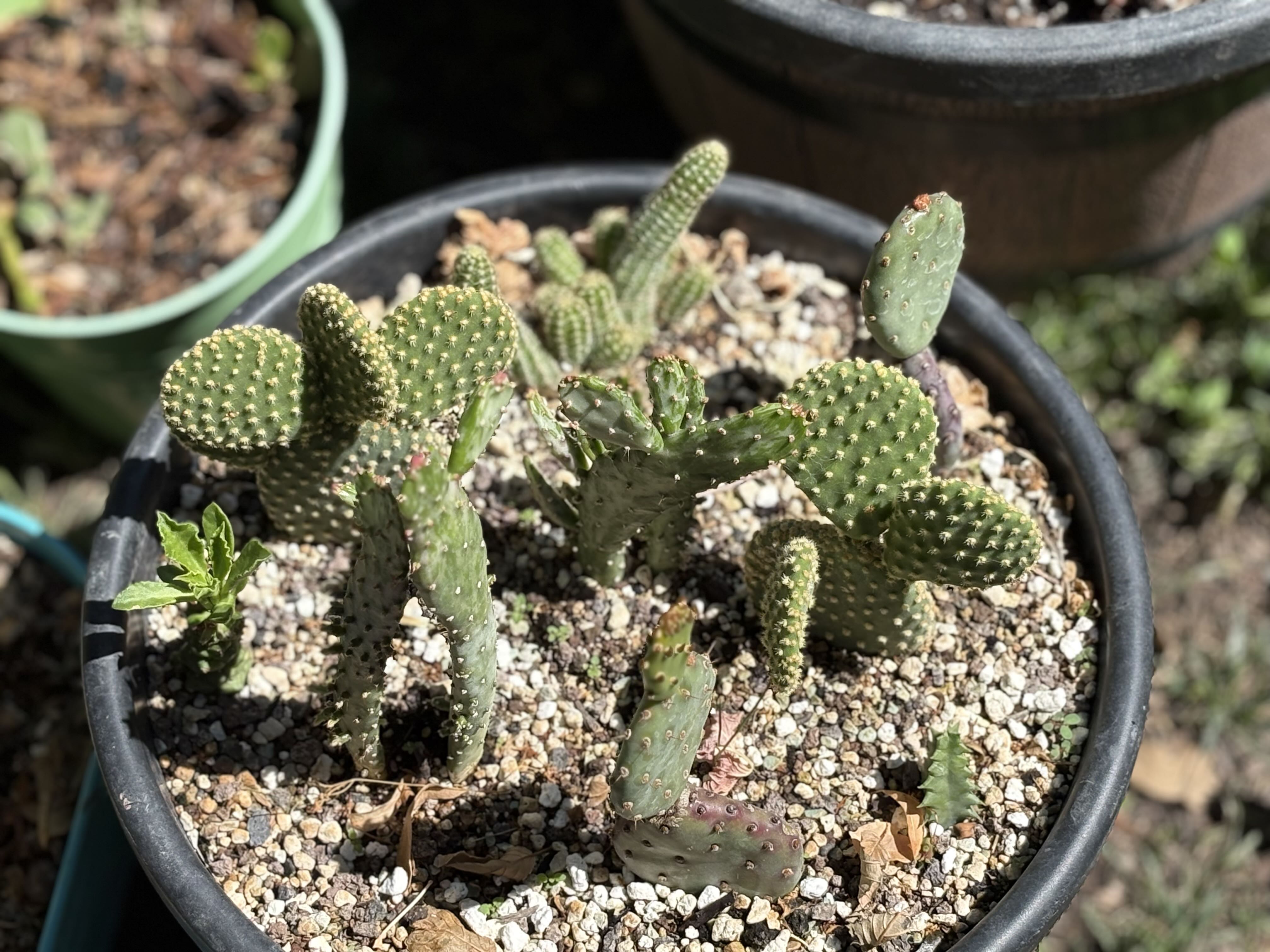 Photo from the post