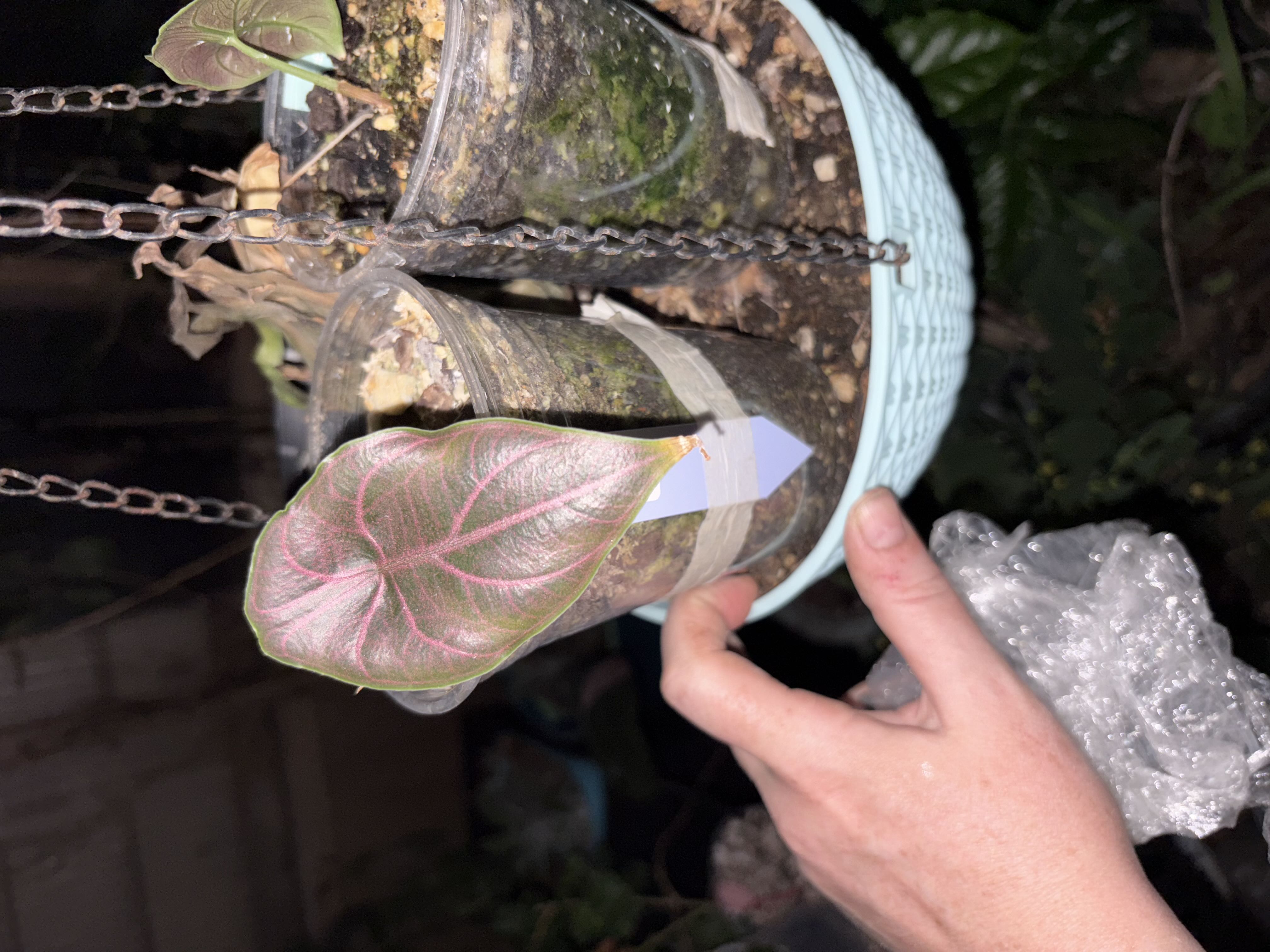 Photo from the post