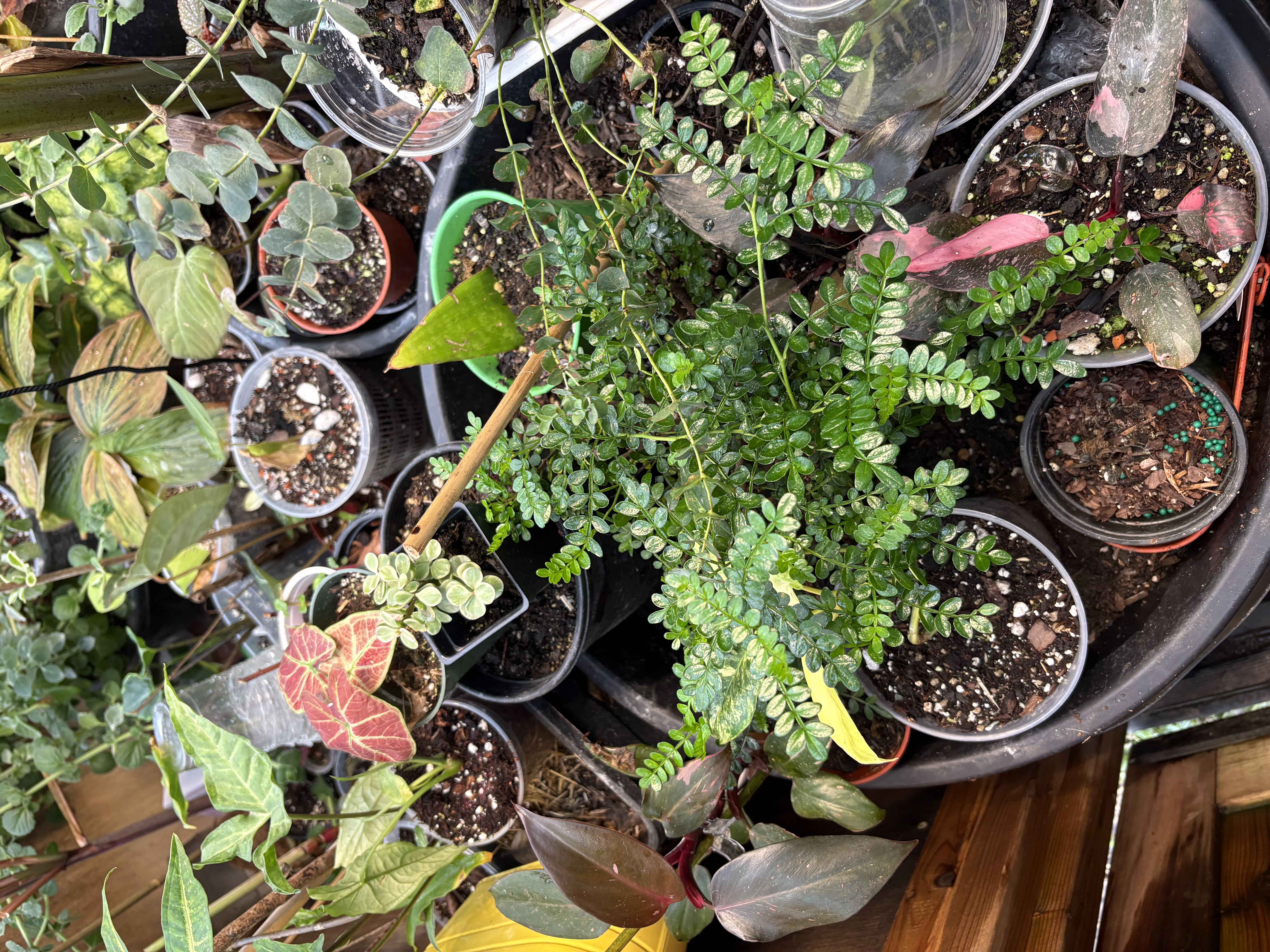 Photo from the post