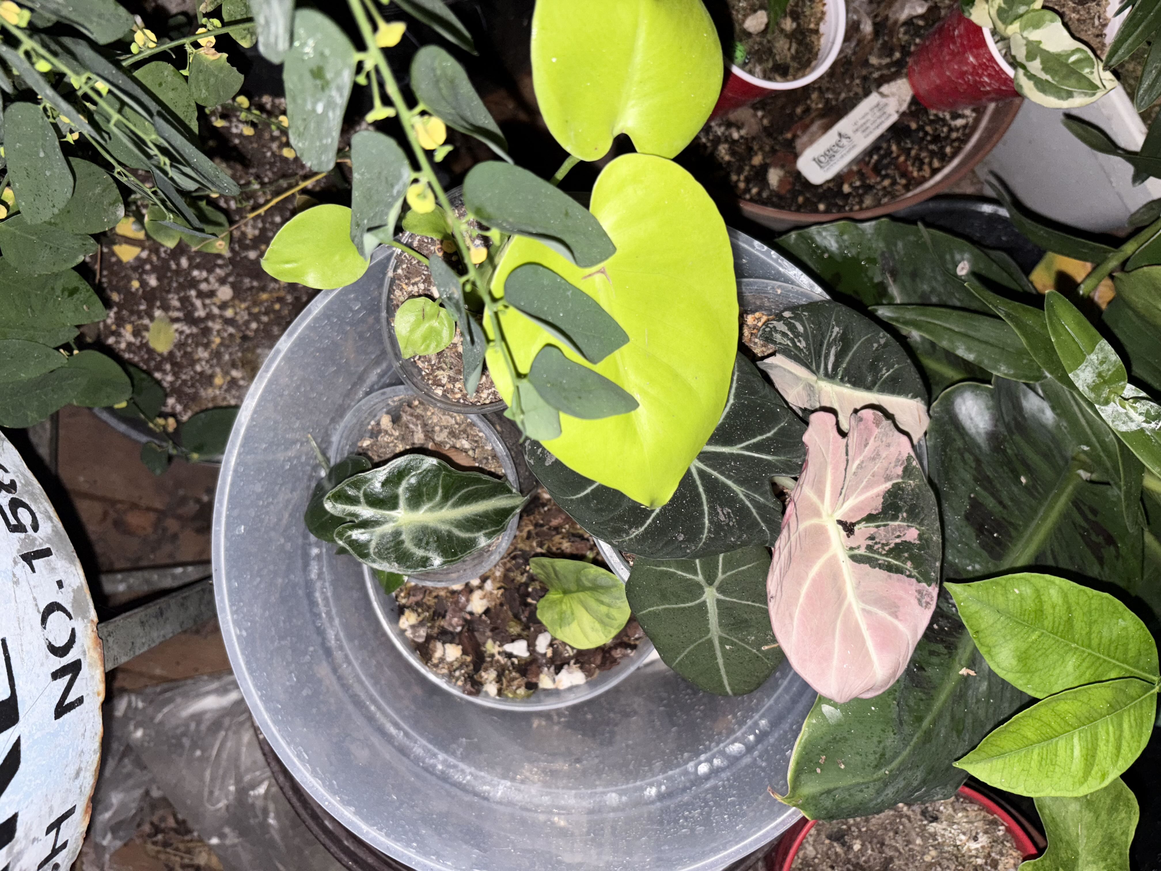 Photo from the post