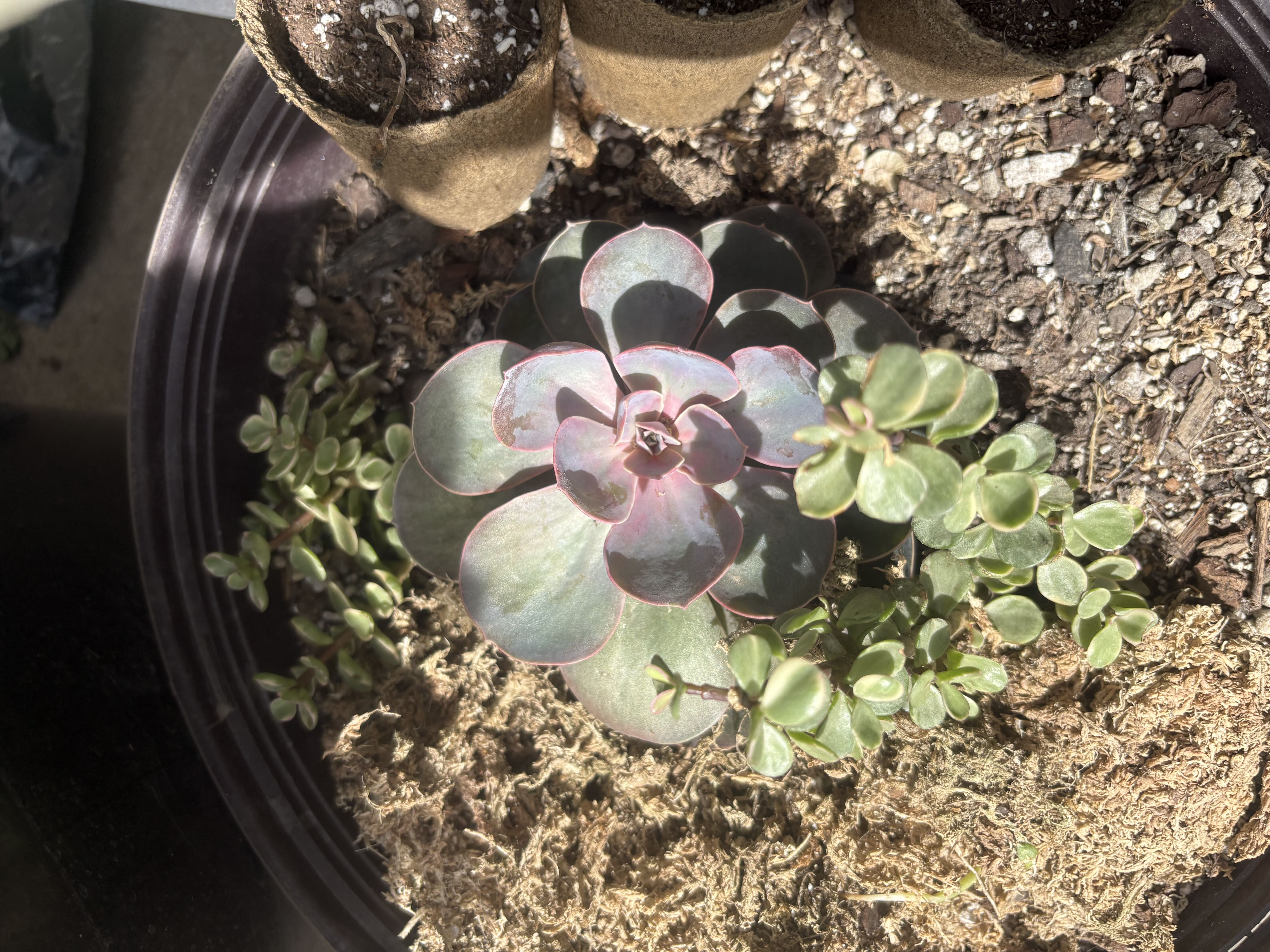 Photo from the post