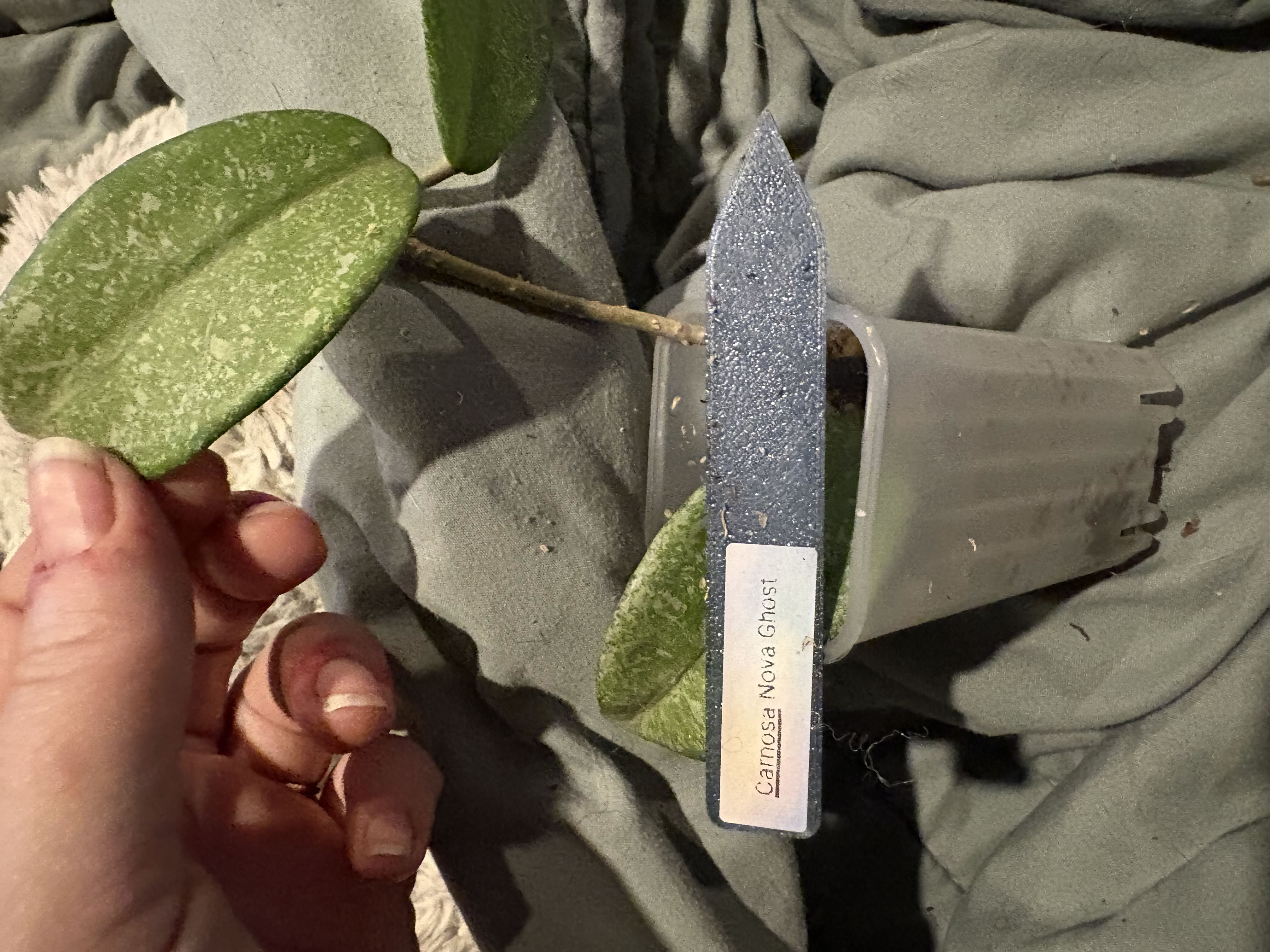 Photo from the post