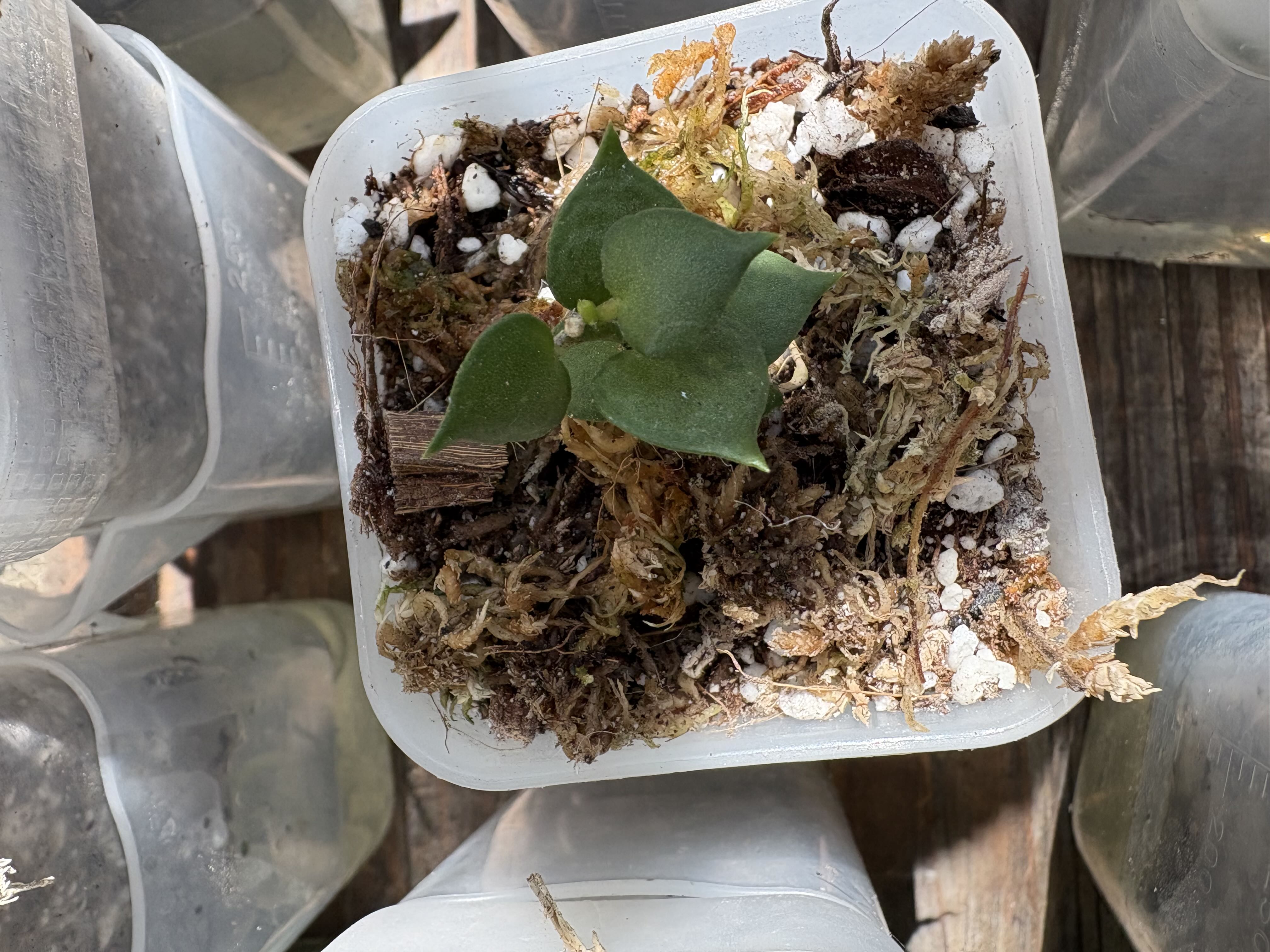 Photo from the post