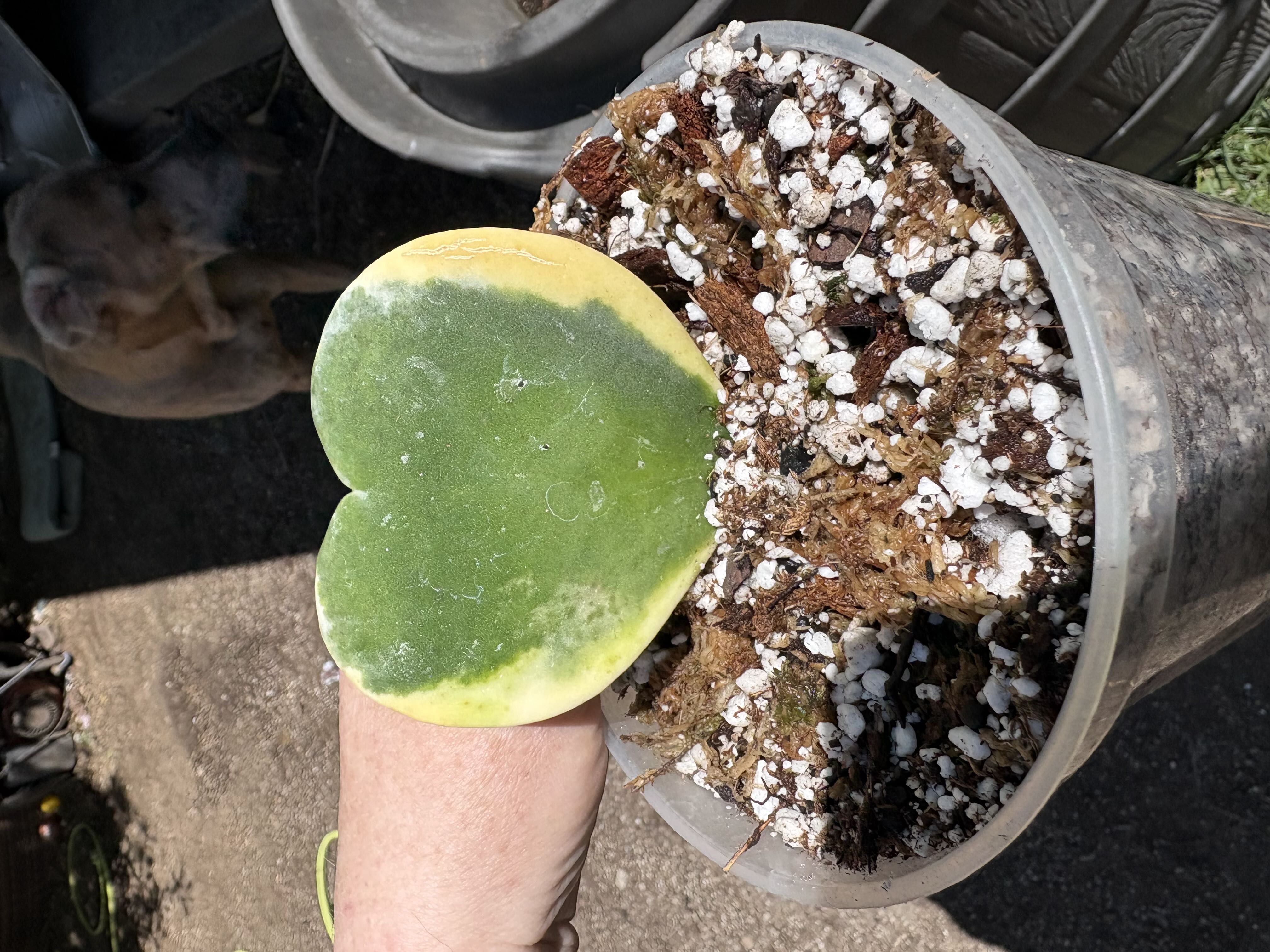 Photo from the post