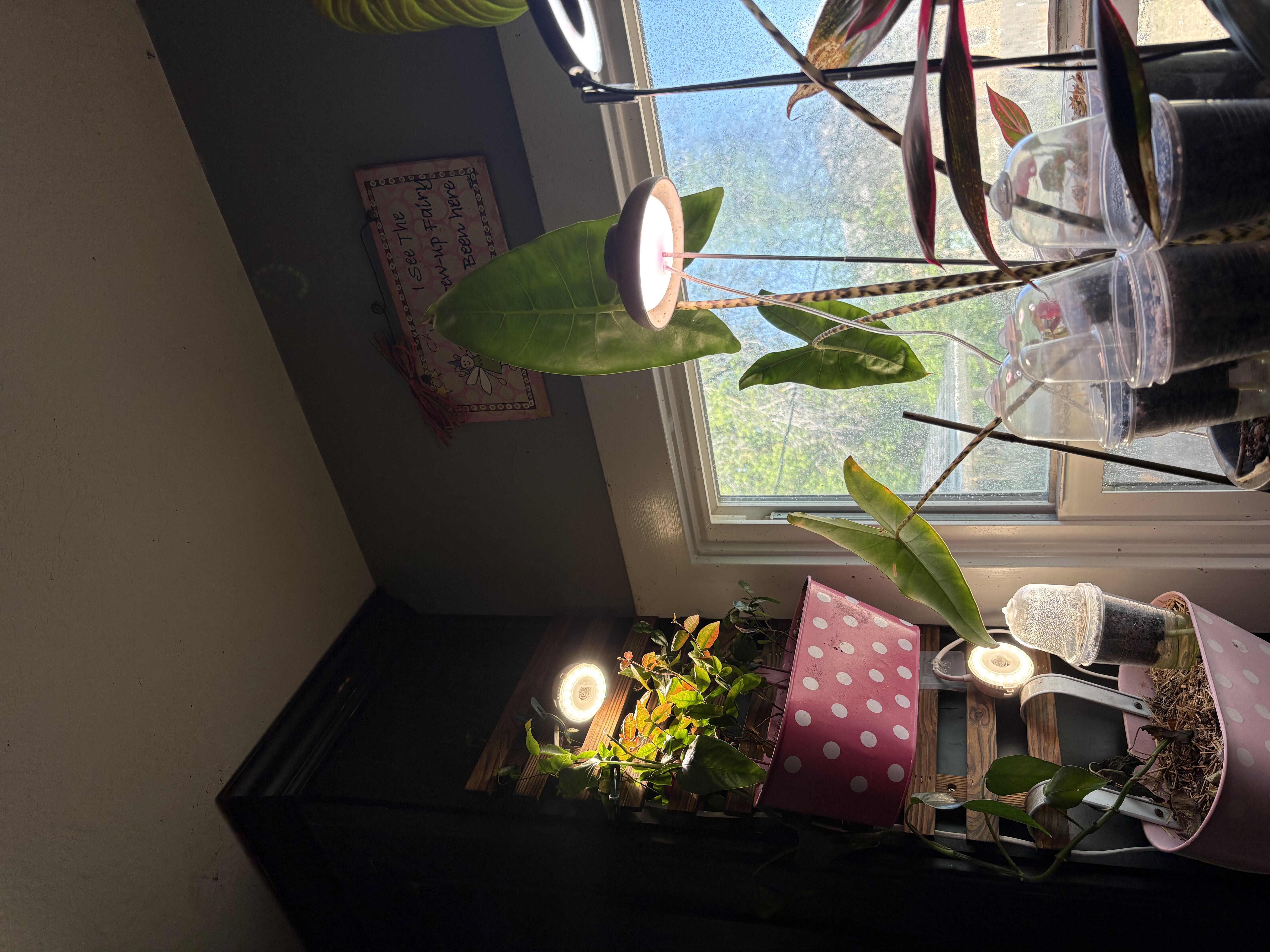 Photo from the post