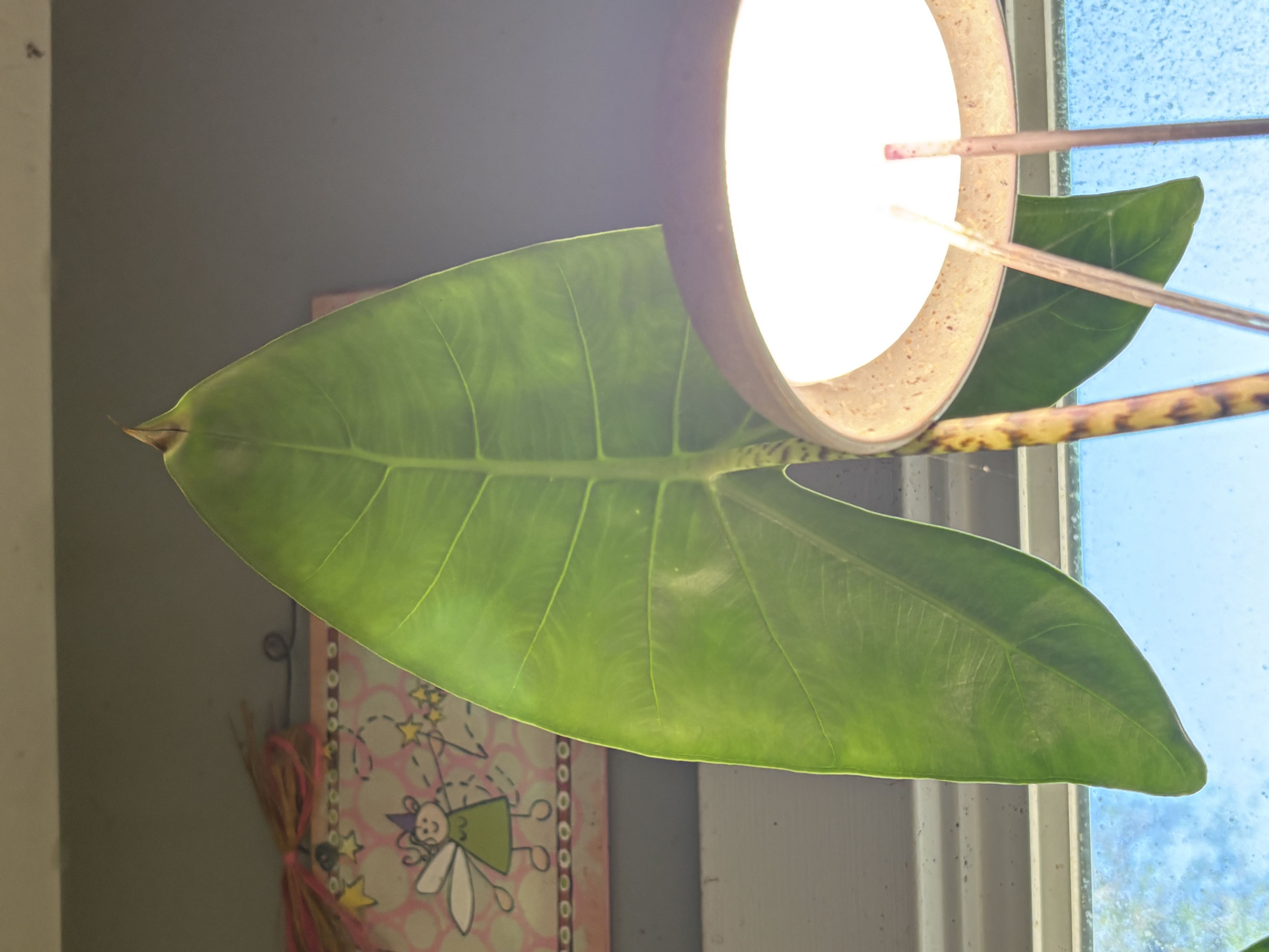 Photo from the post