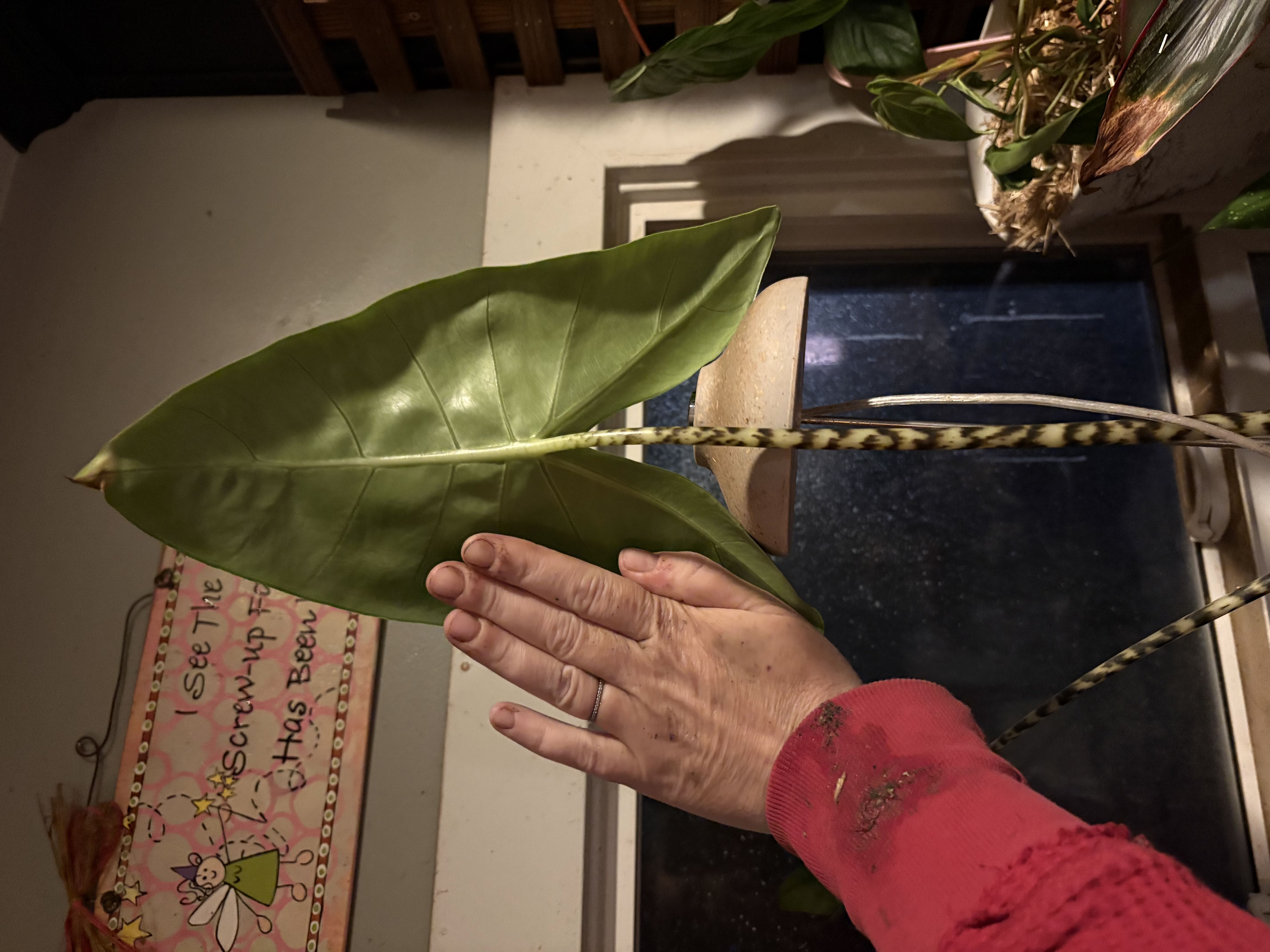 Photo from the post