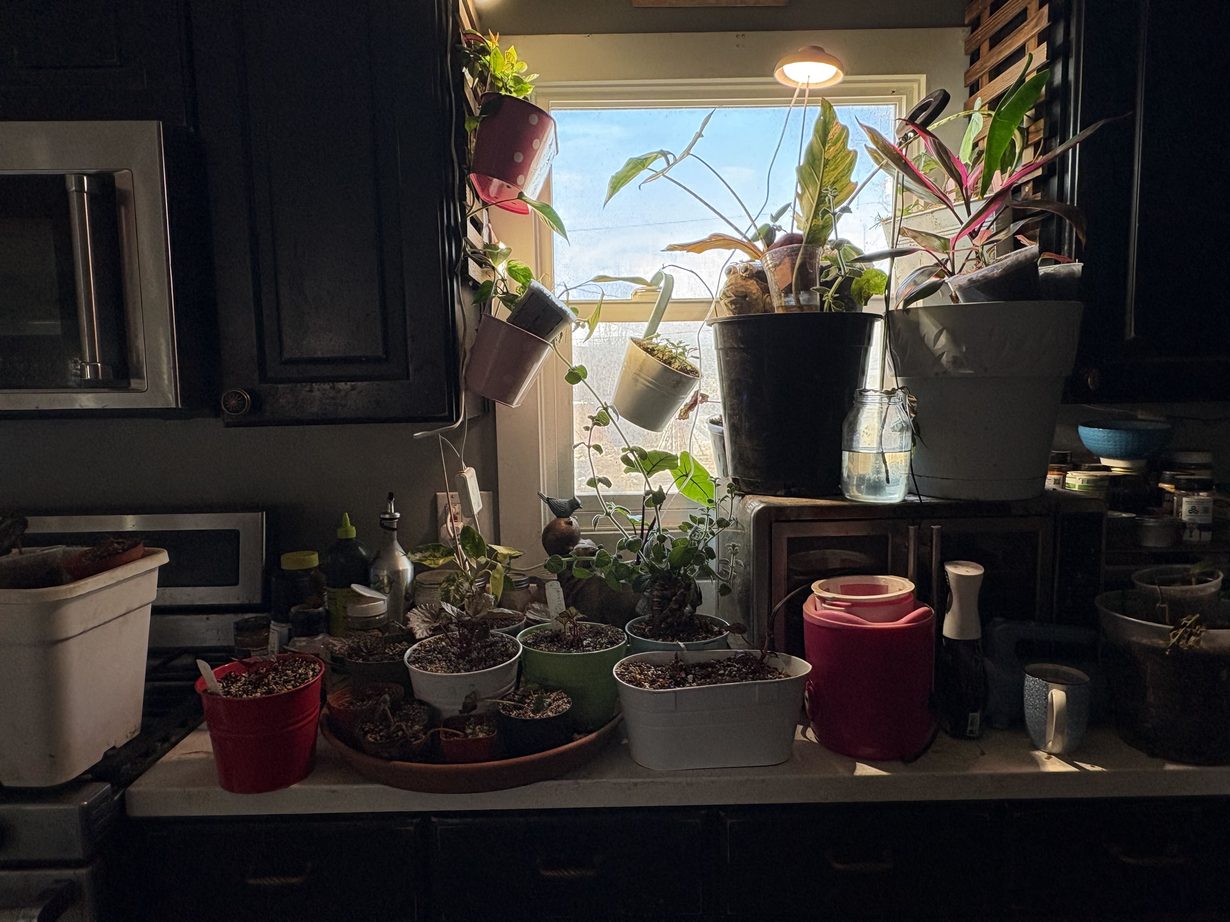 Photo from the post
