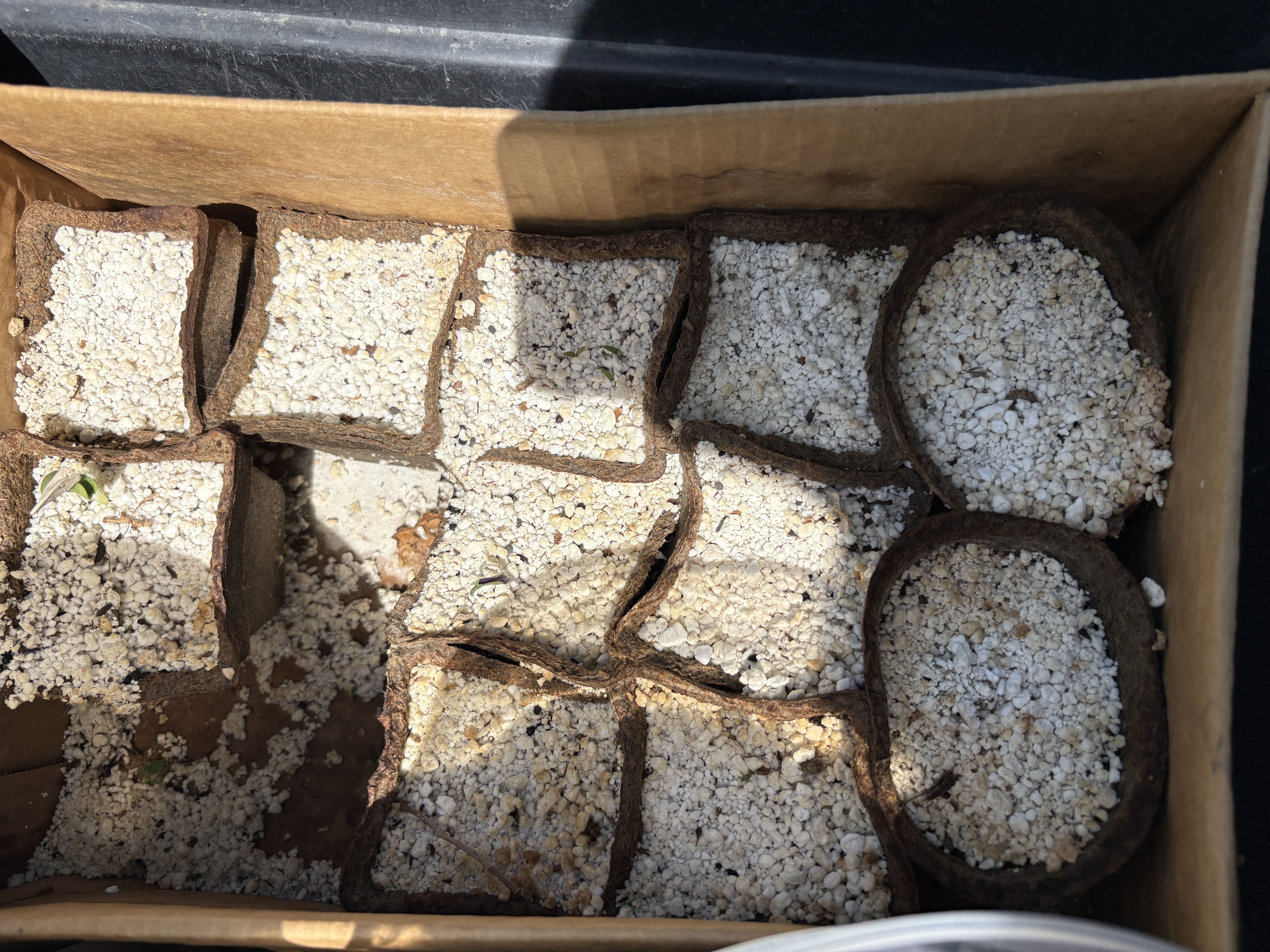 Photo from the post
