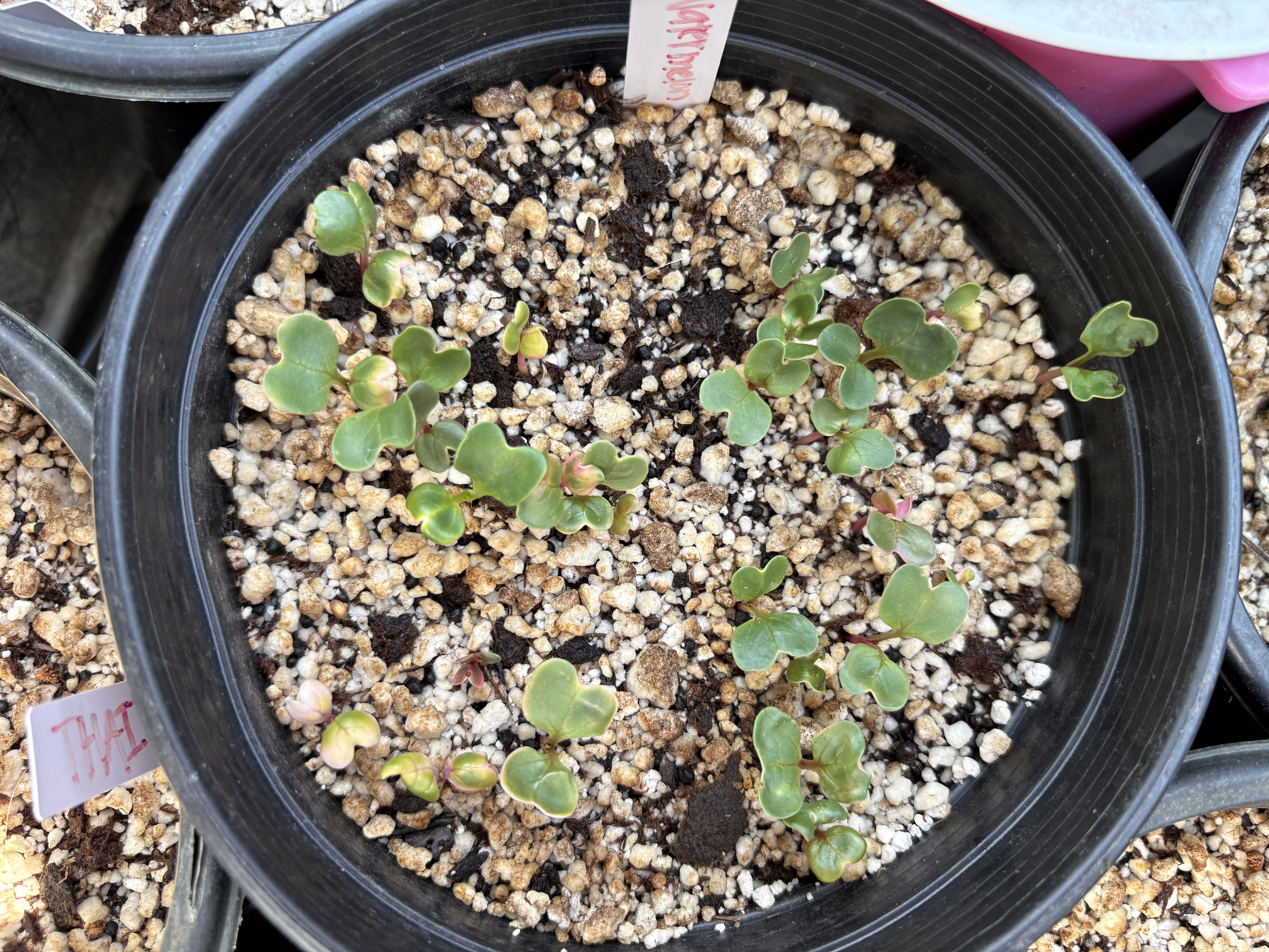 Photo from the post