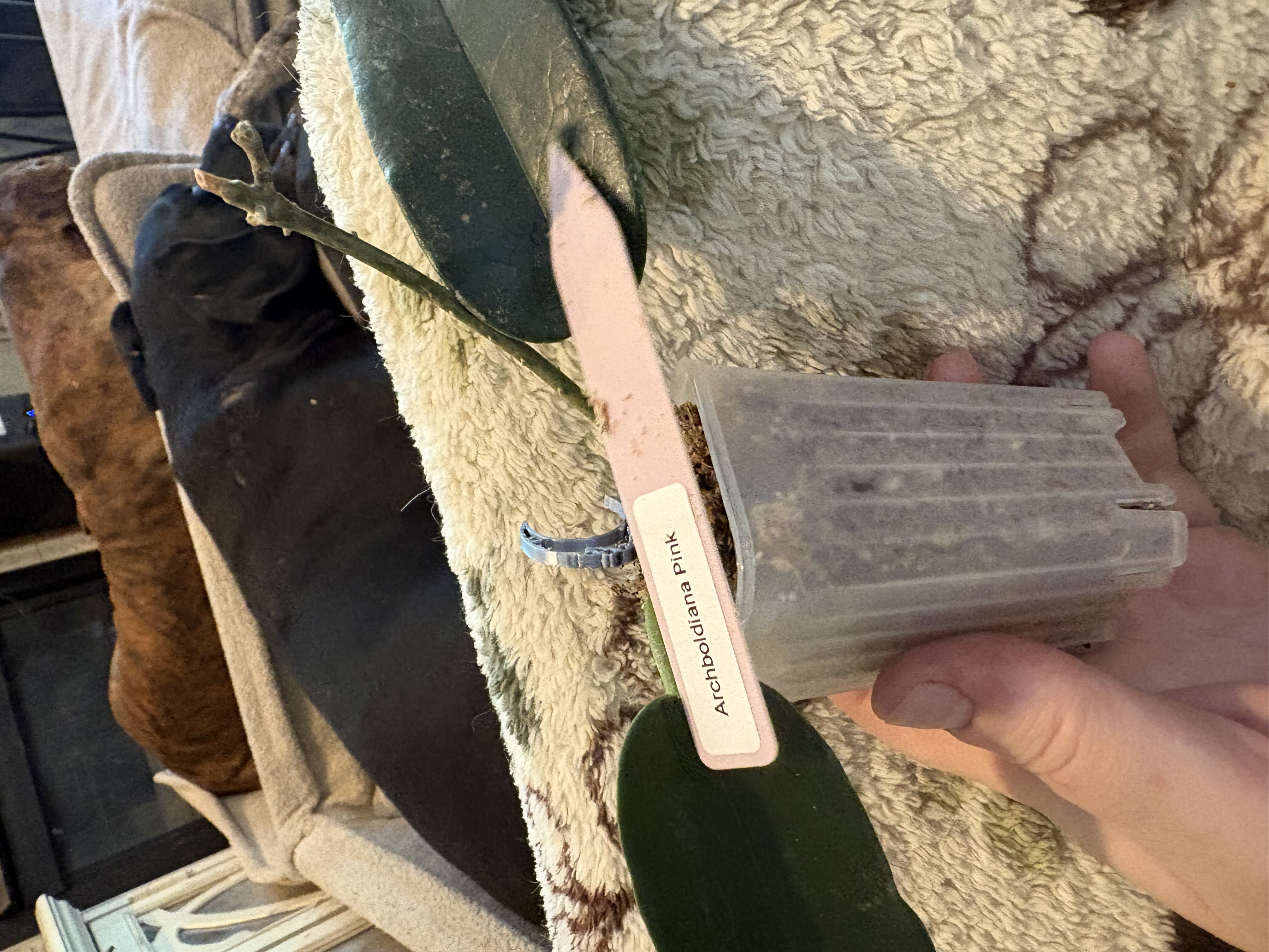 Photo from the post