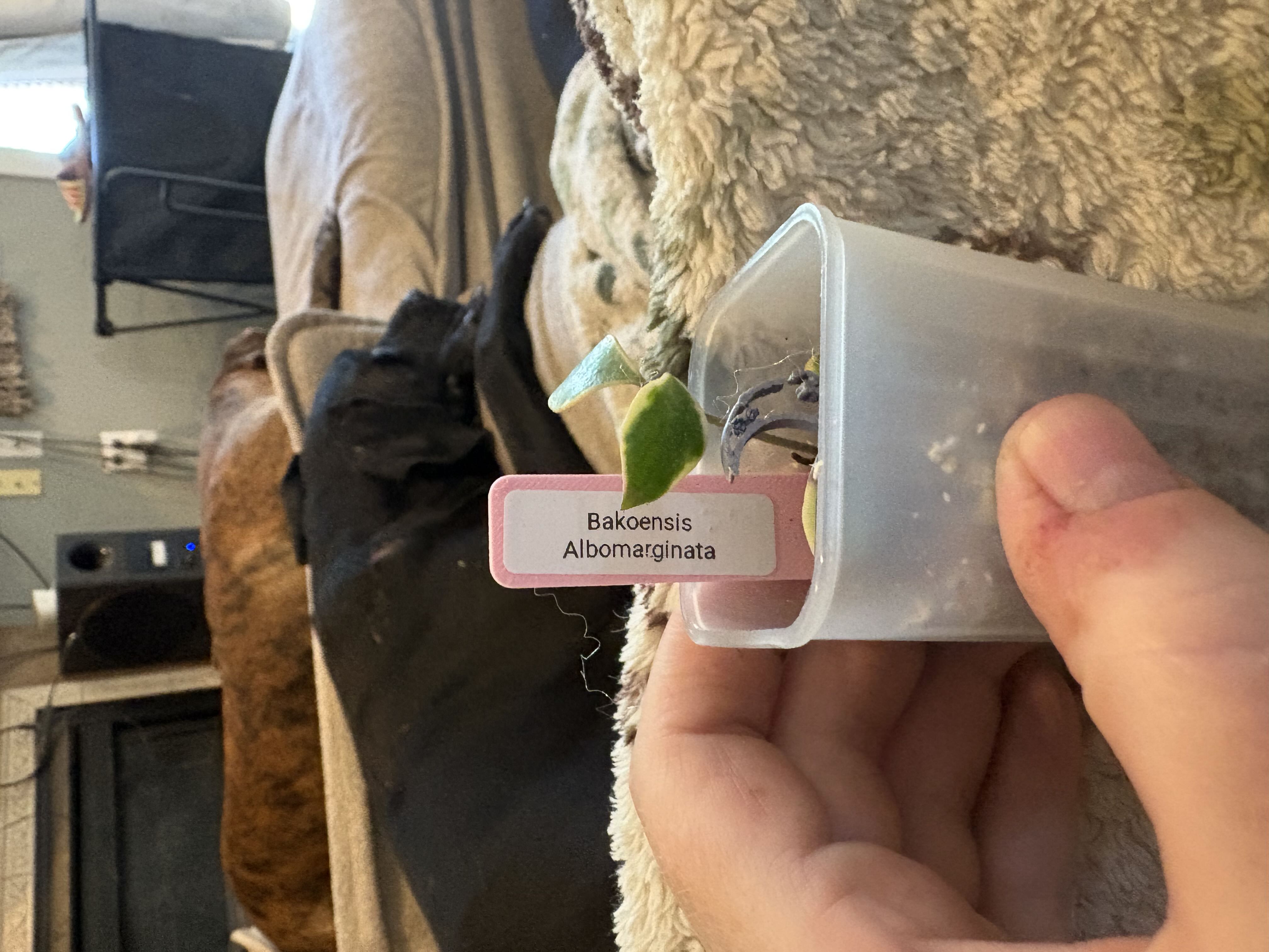 Photo from the post