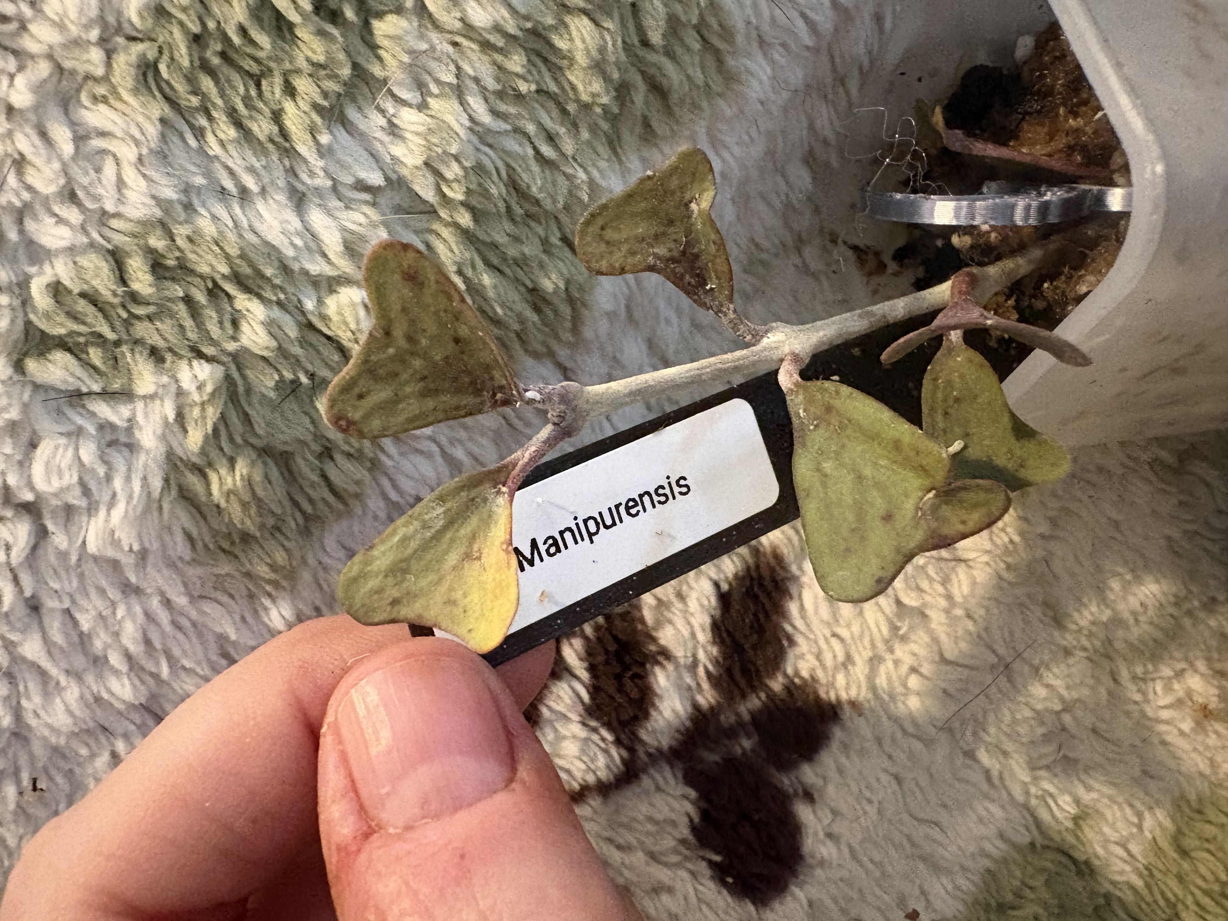 Photo from the post