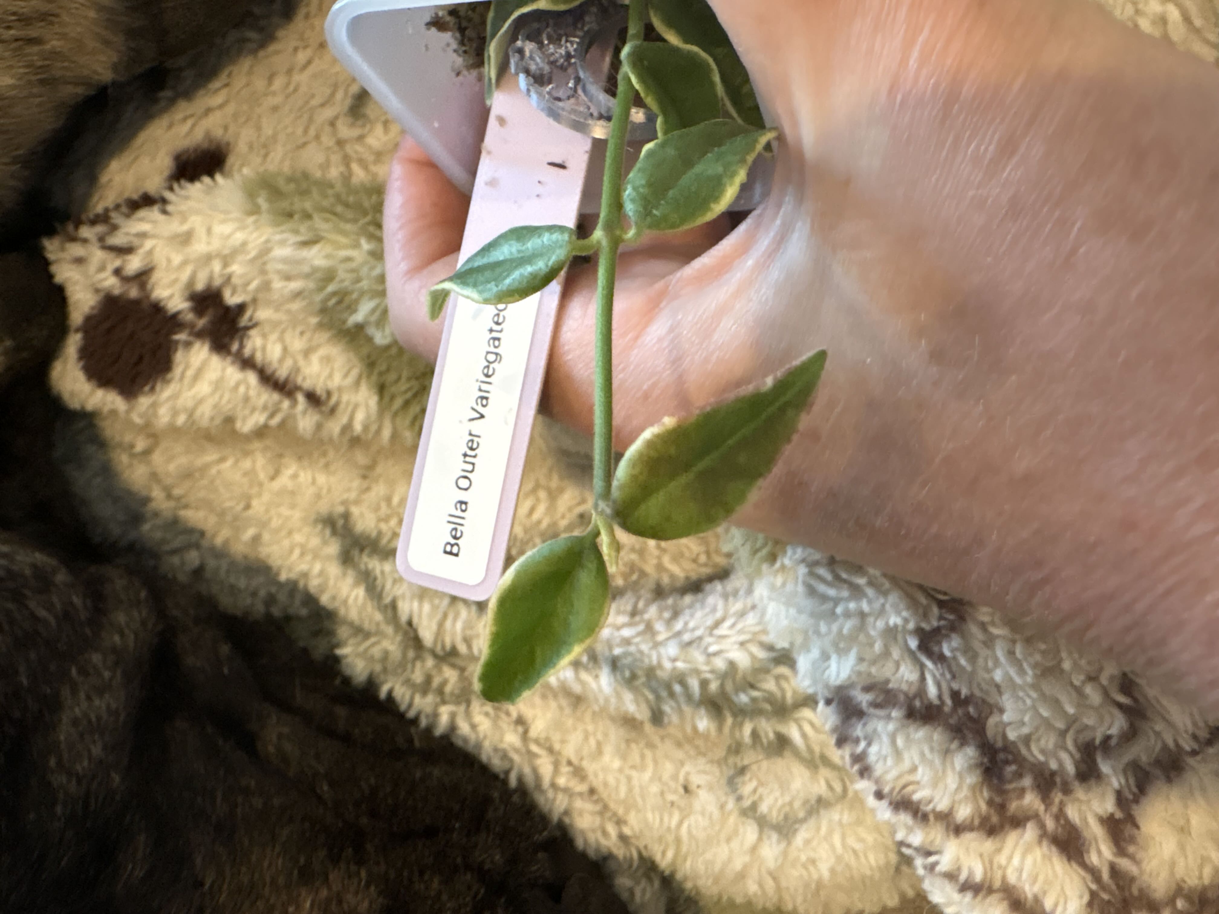 Photo from the post