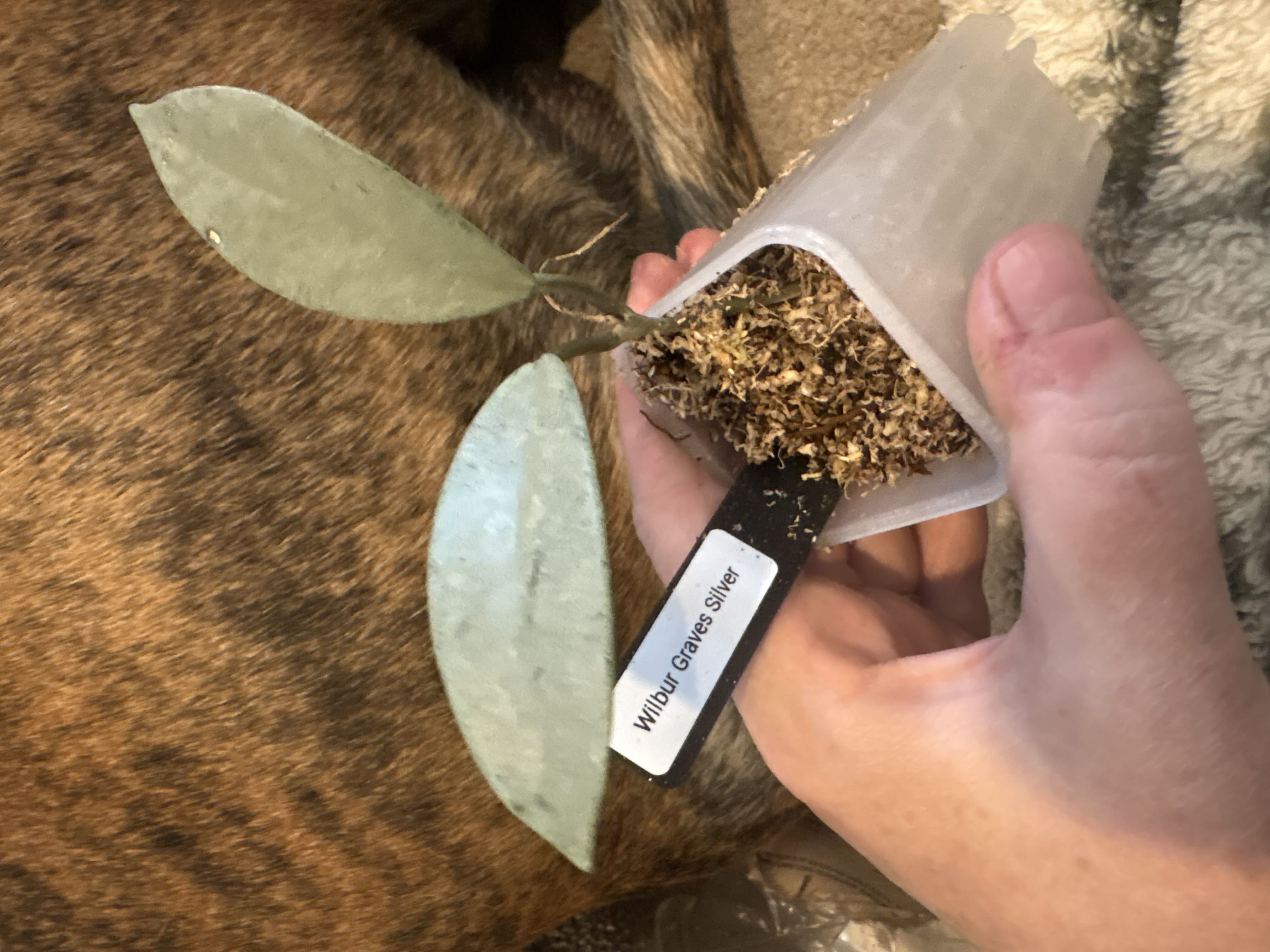 Photo from the post