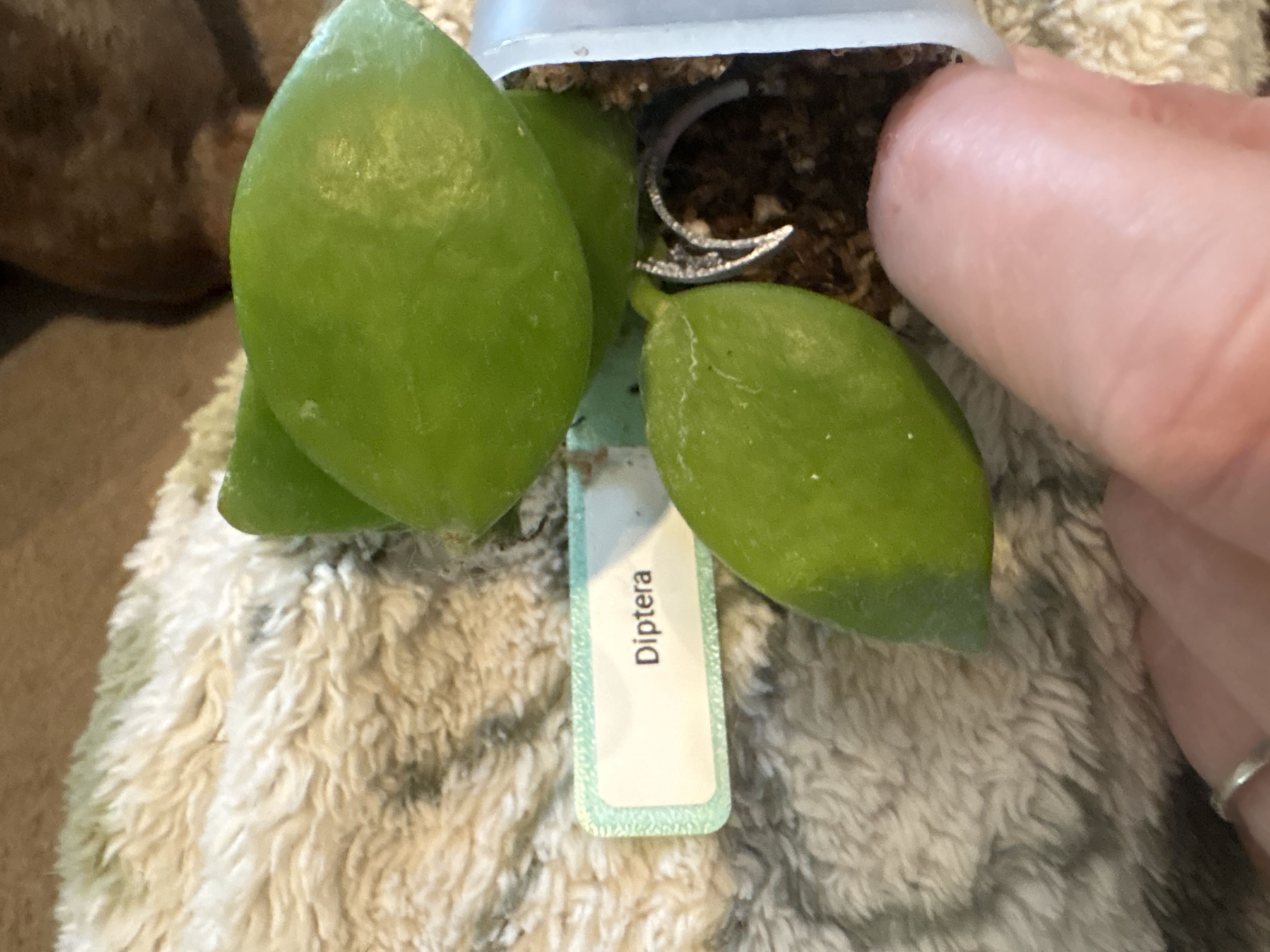Photo from the post