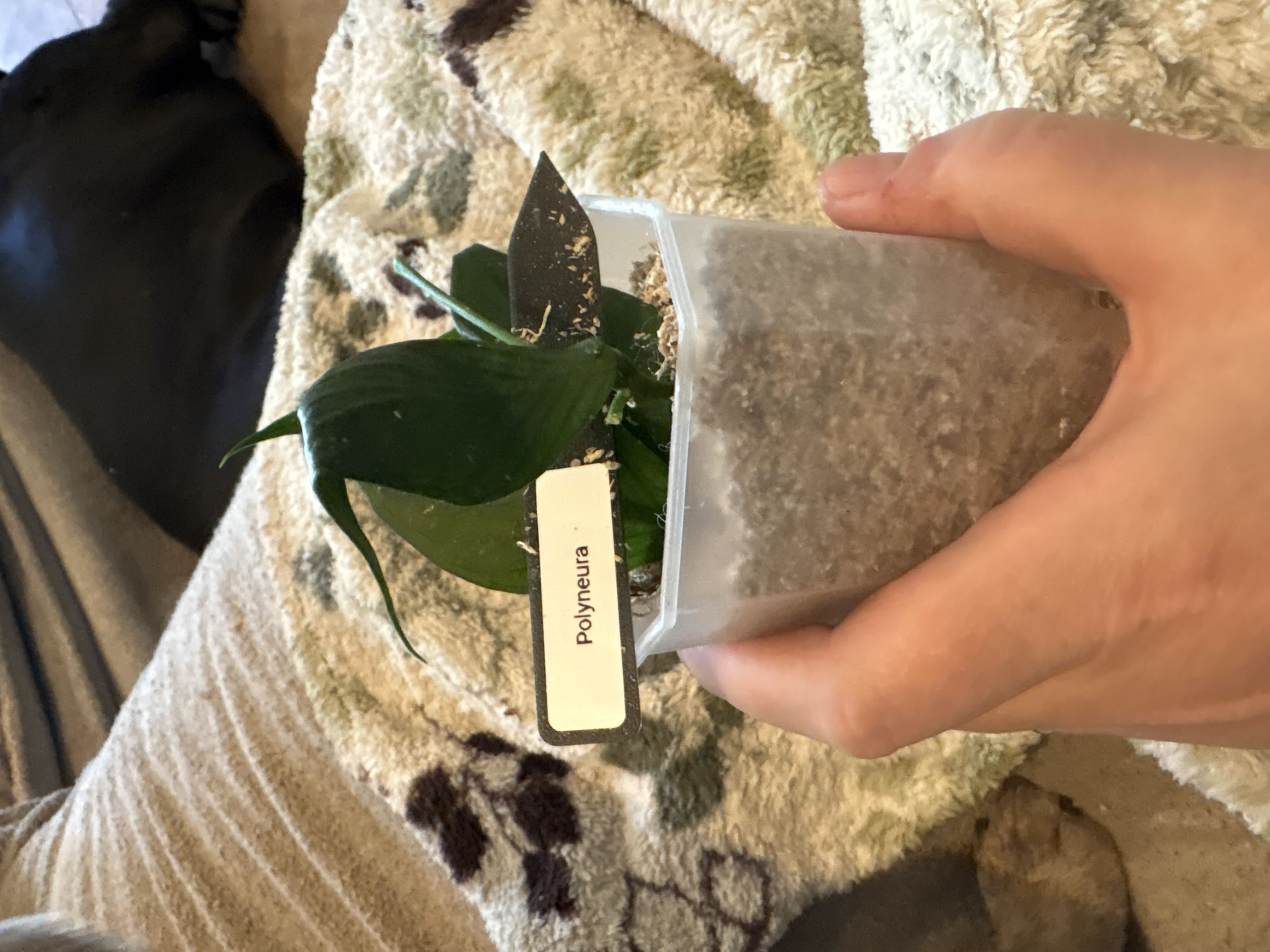 Photo from the post