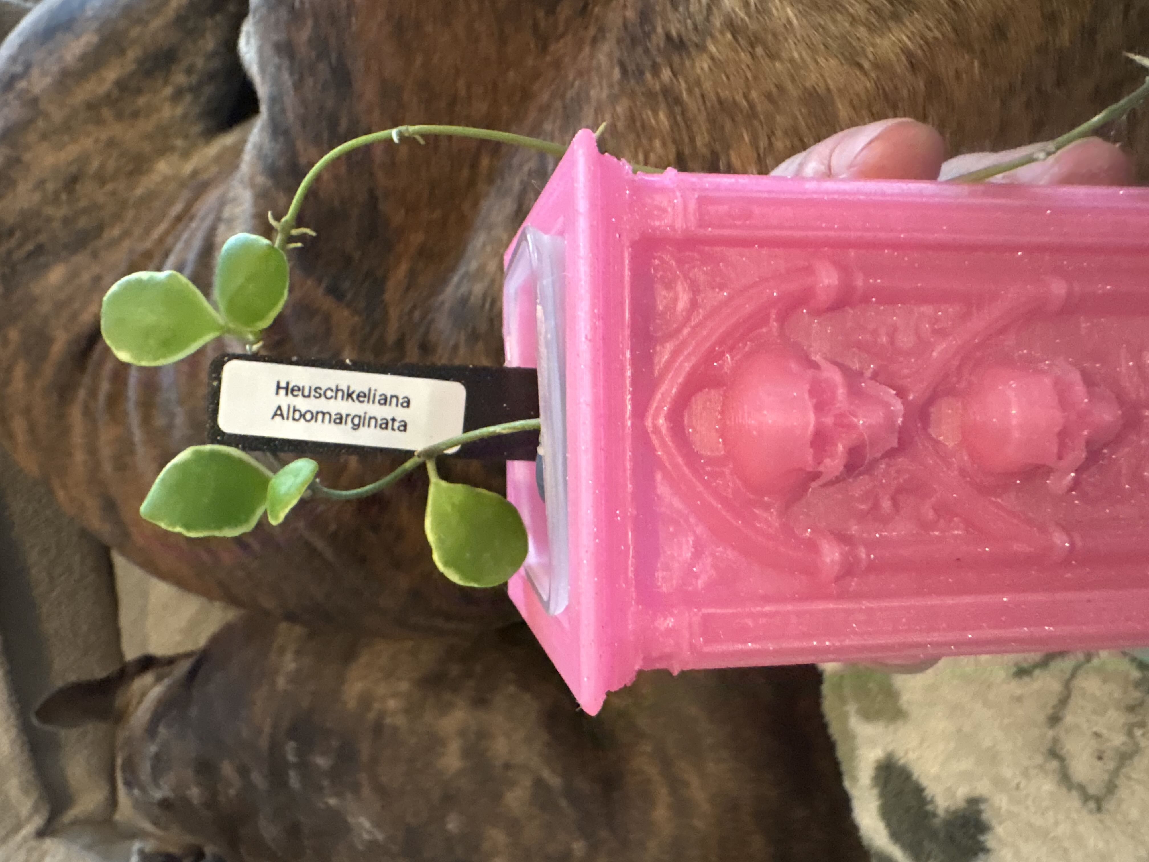 Photo from the post