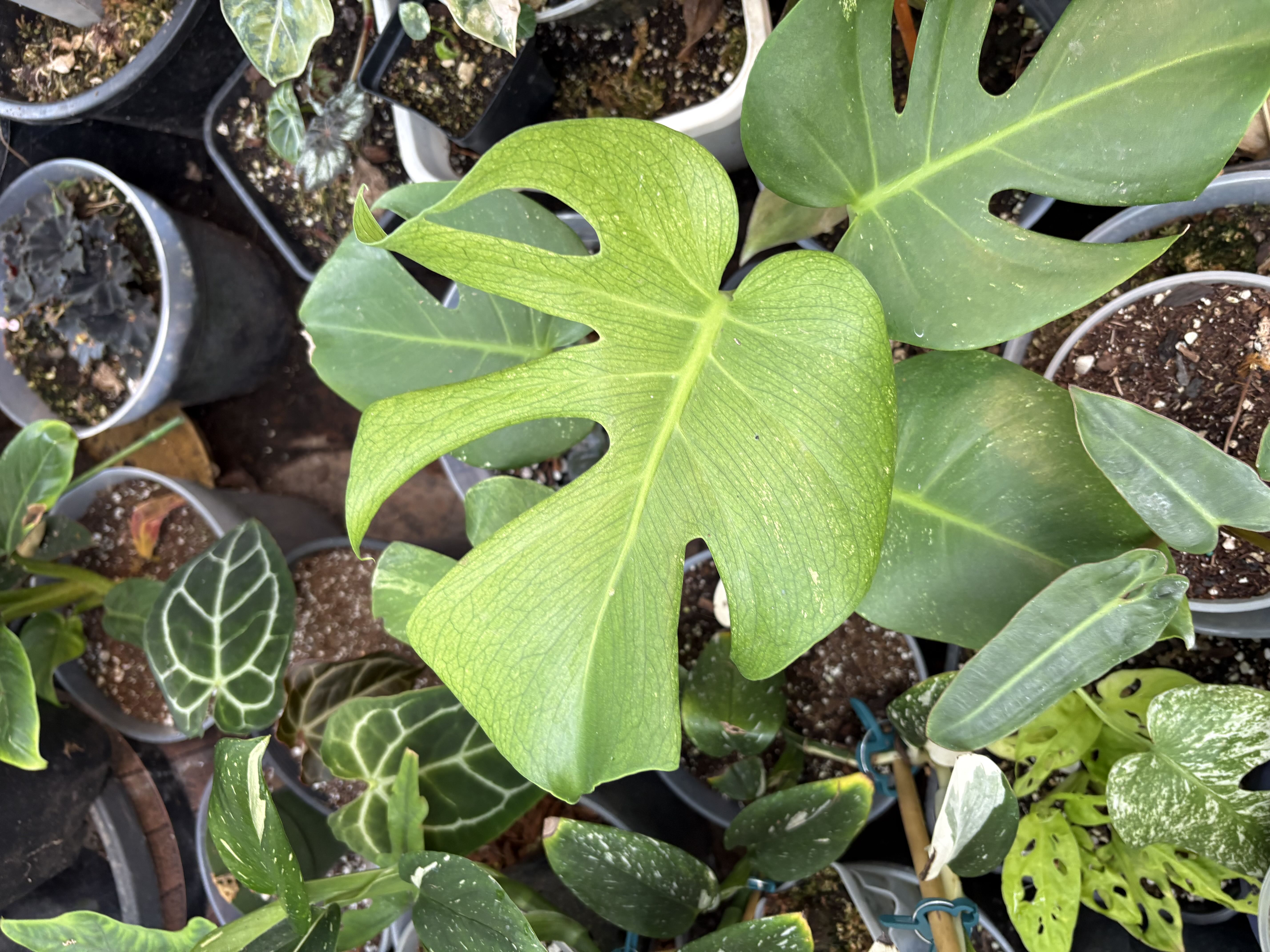 Photo from the post