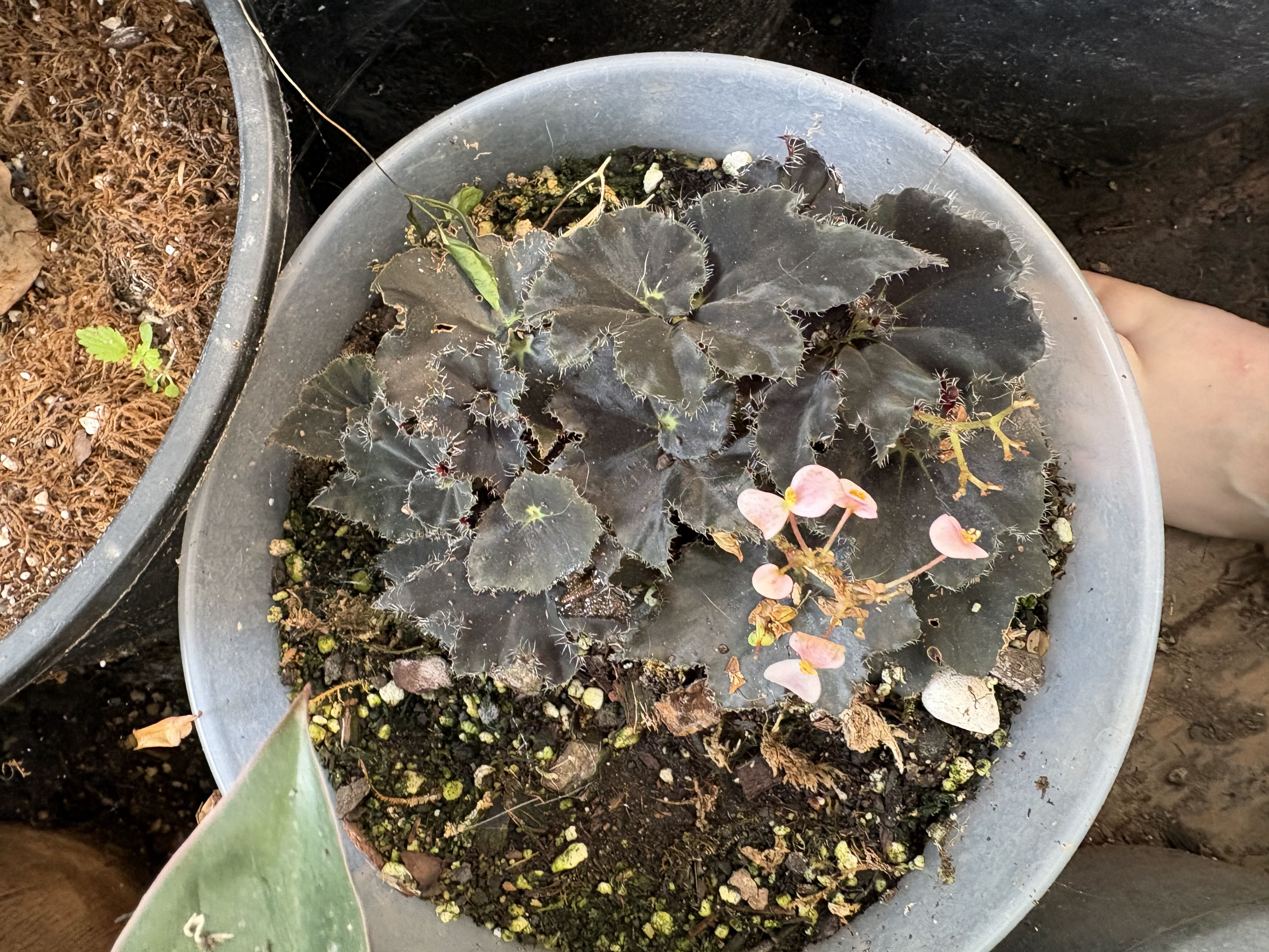 Photo from the post